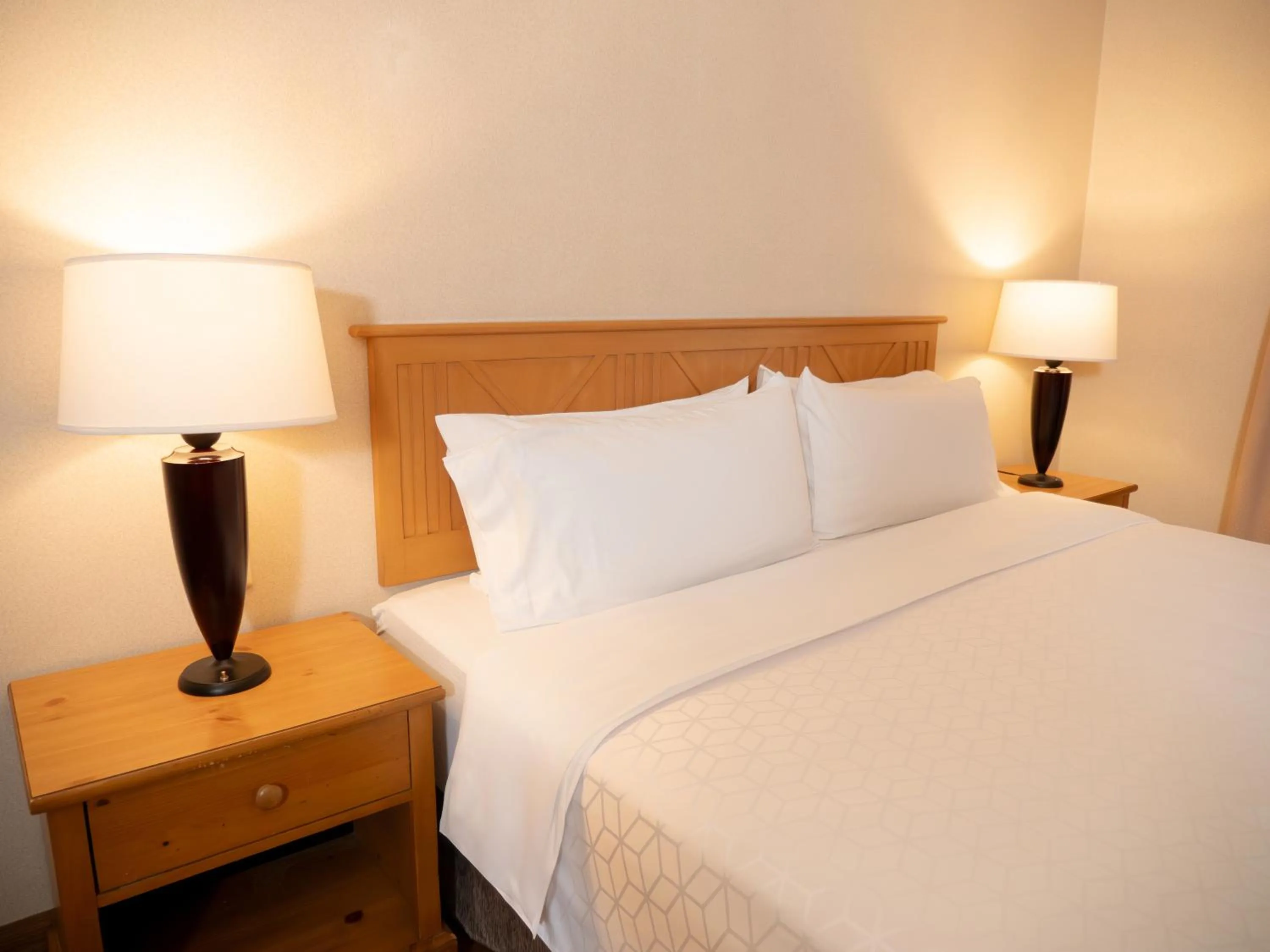 Standard King Room - Accessible in Holiday Inn Express Guanajuato by IHG