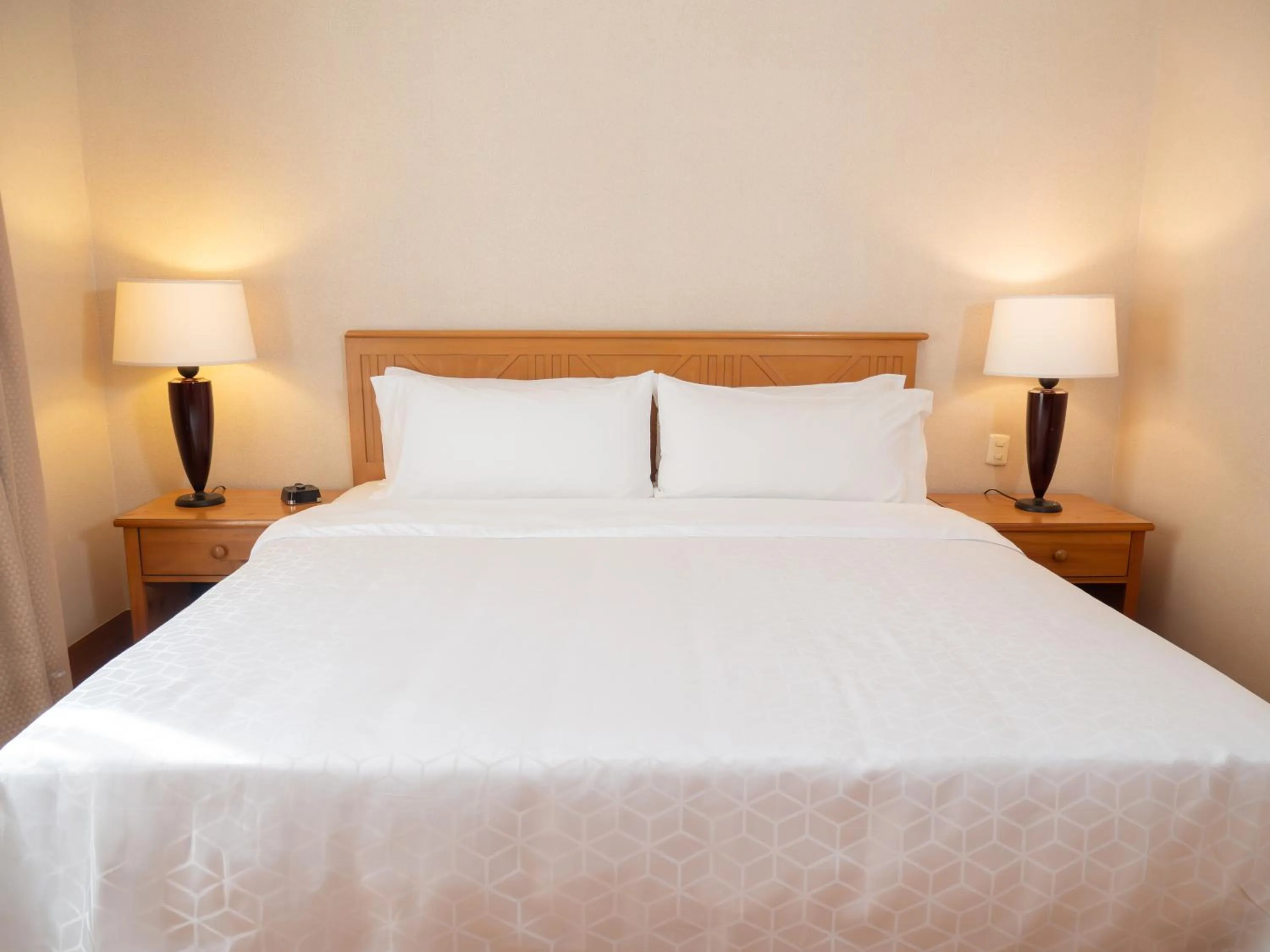 King Suite in Holiday Inn Express Guanajuato by IHG