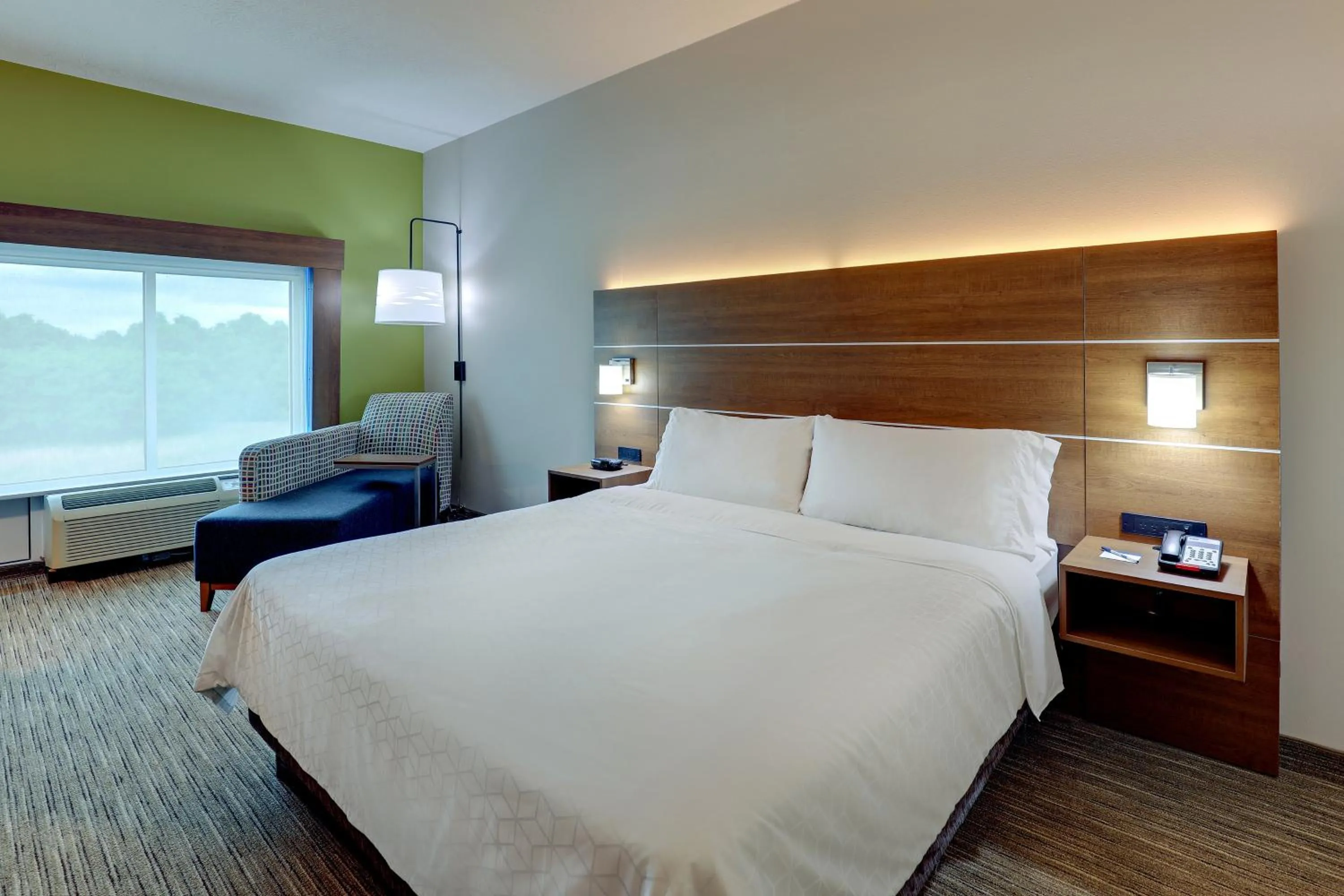Standard King Room in Holiday Inn Express Campbellsville by IHG