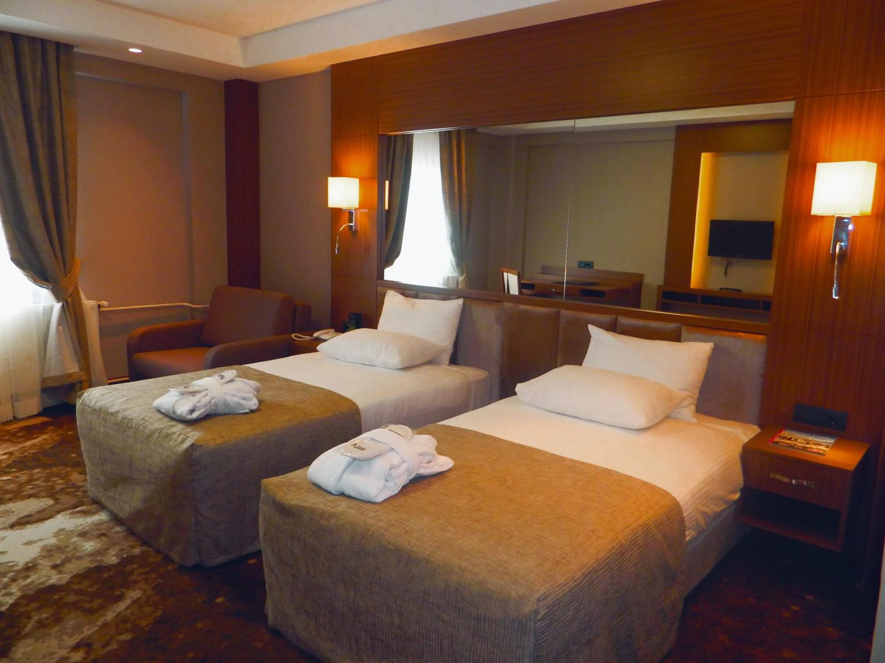 Executive Twin Bed Room in The Green Park Kartepe