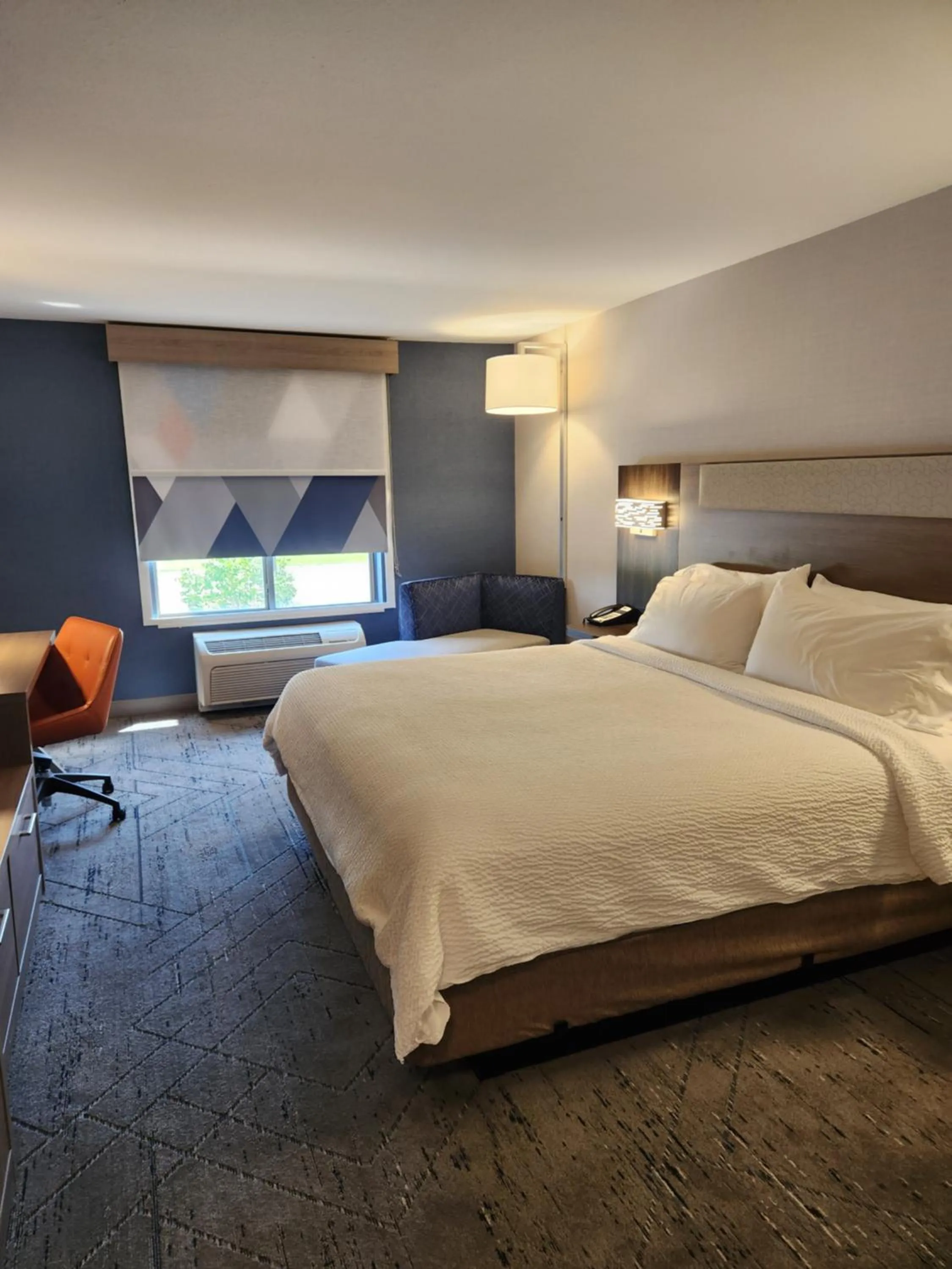 King Suite - Disability Access in Holiday Inn Express Hotel & Suites Crawfordsville by IHG