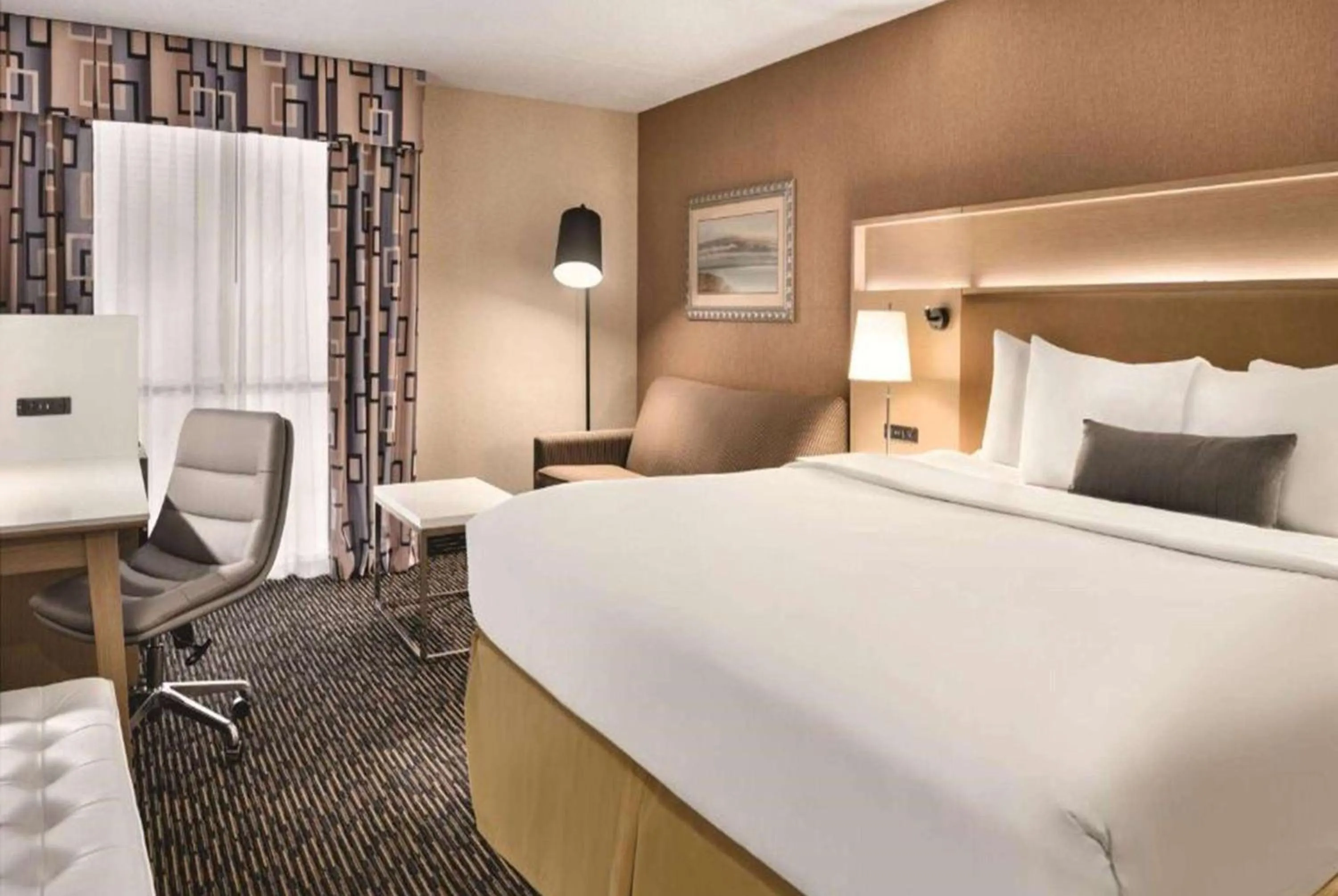 Business King Room - Non-Smoking in Wyndham Garden Conference Center Champaign - Urbana