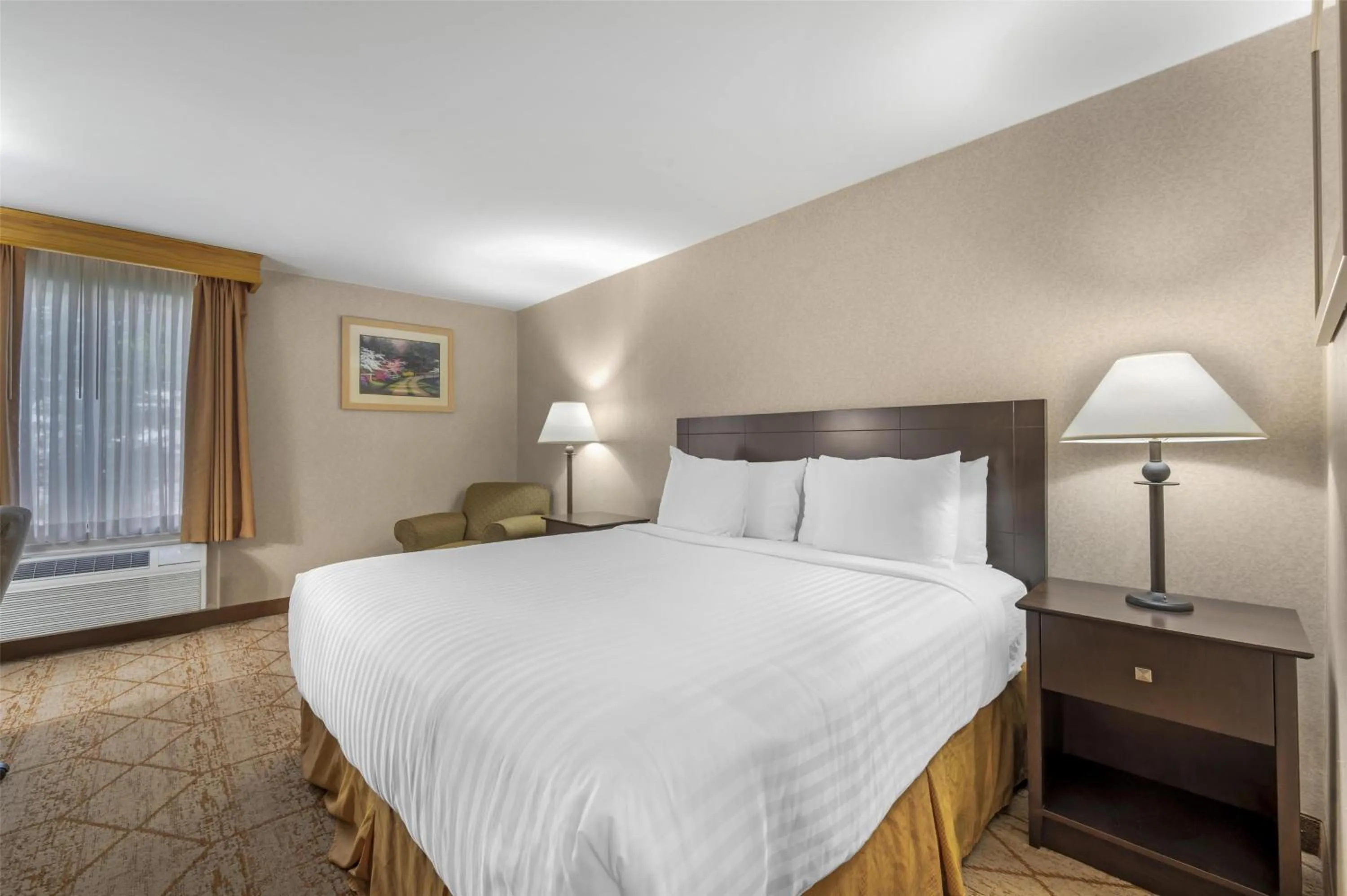 King Room with Roll-In Shower - Disability Access in Best Western Manassas