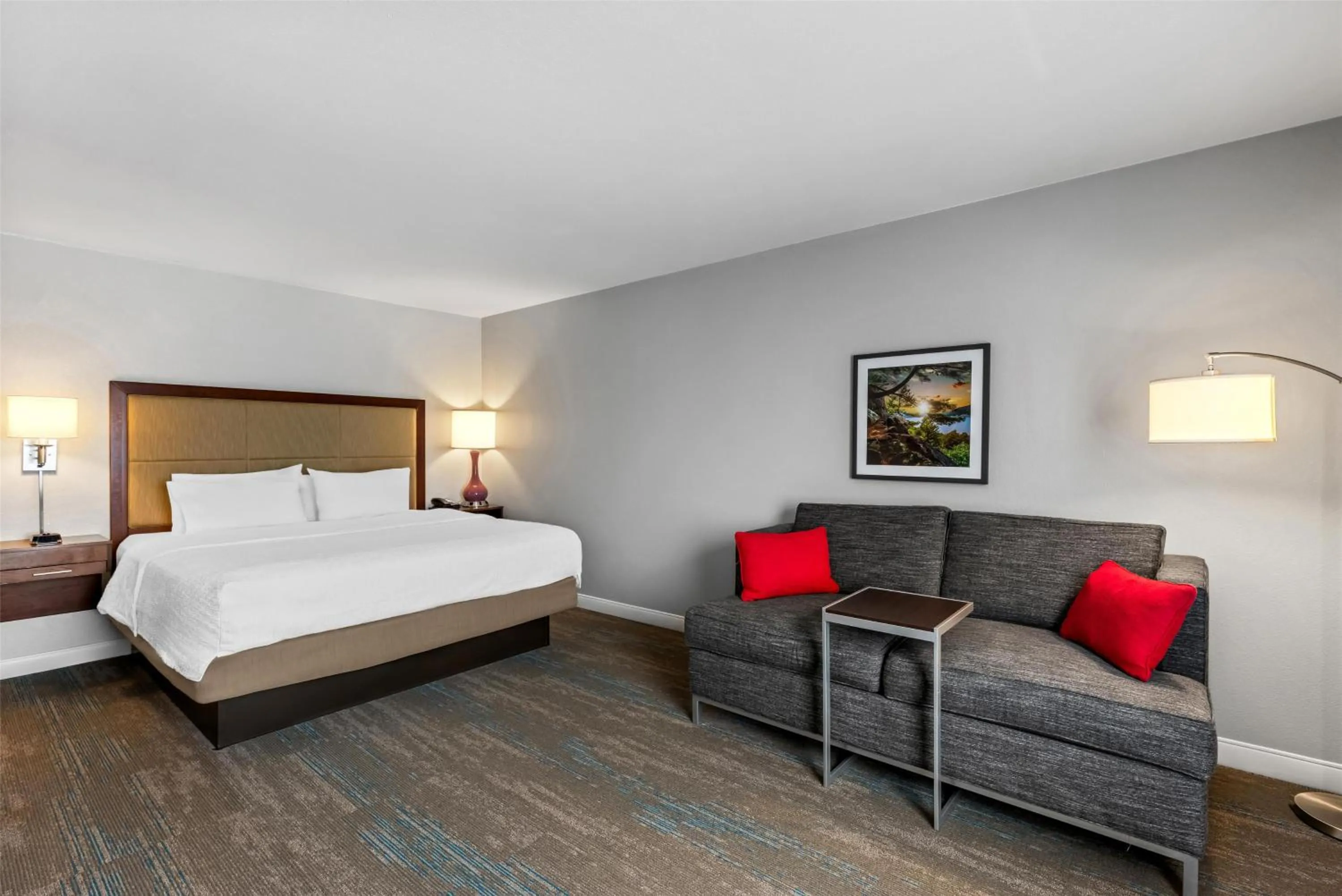 King Room with Sofa Bed - Non-Smoking in Hampton Inn Fond du Lac