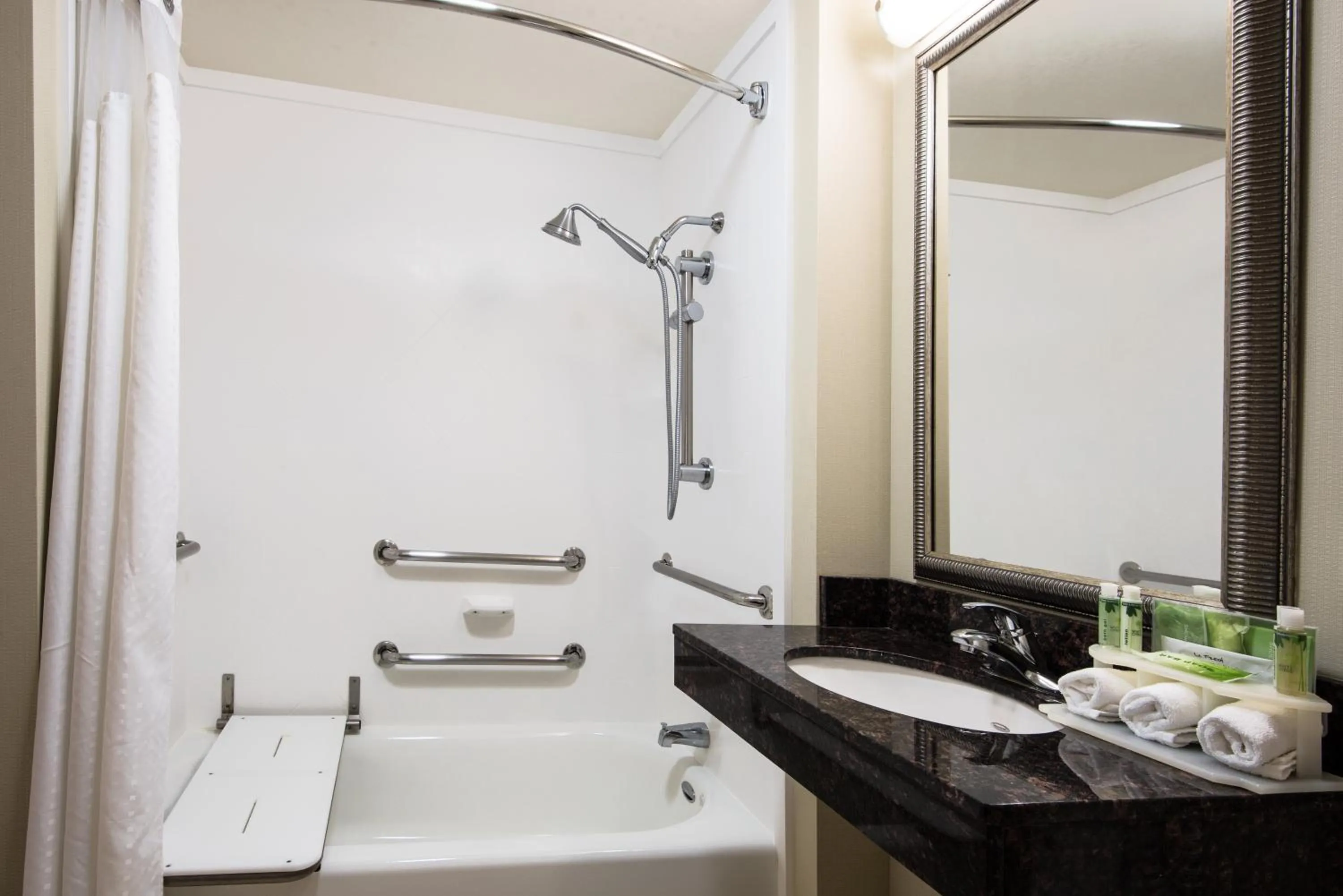 Deluxe Suite - Mobility Accessible - Non-Smoking in Holiday Inn Express Hotel & Suites Clute-Lake Jackson by IHG