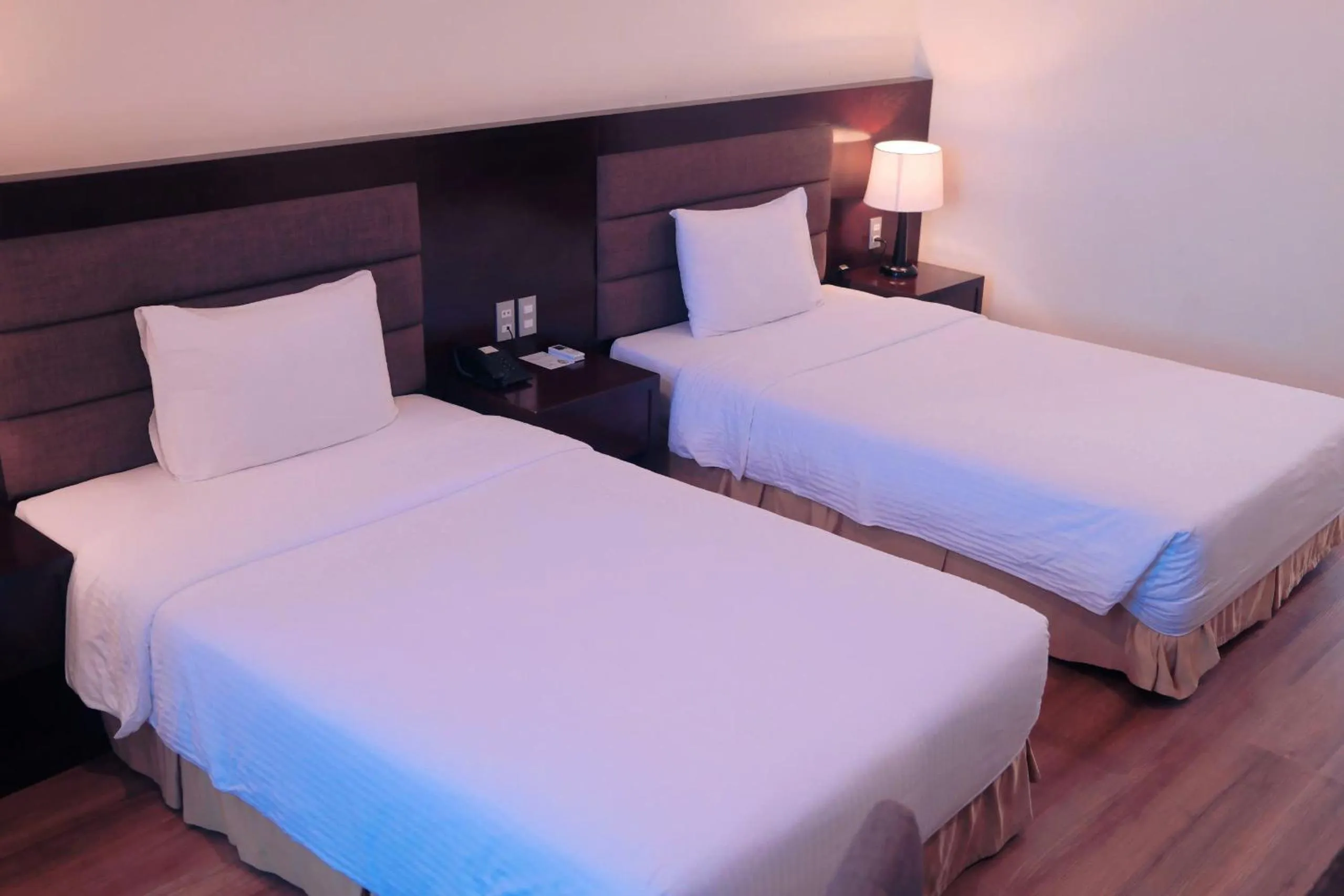 Deluxe Twin Room in Muong Thanh Vinh Hotel