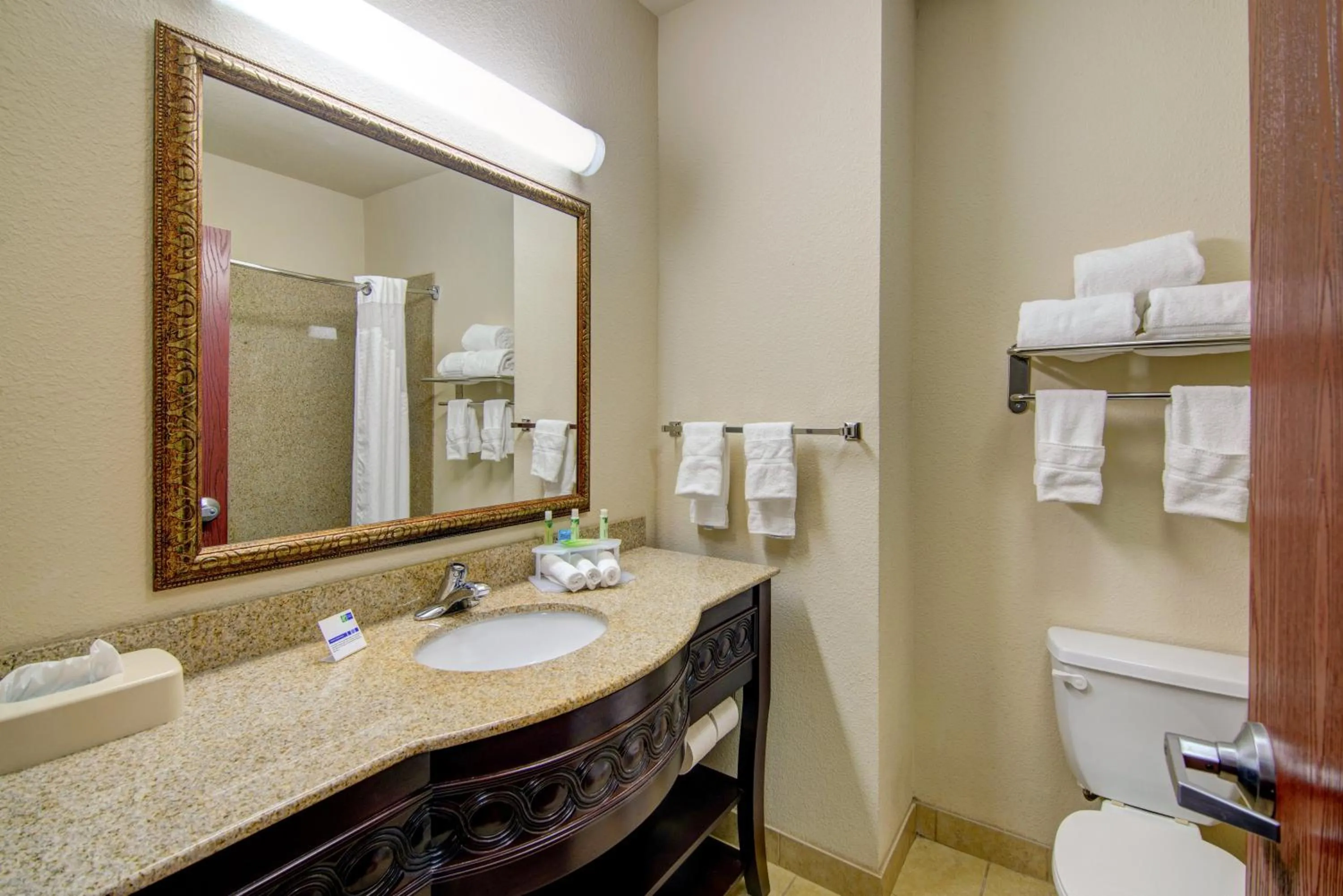 Standard Room with Two Queen Beds in Holiday Inn Express Hotel & Suites Terrell by IHG