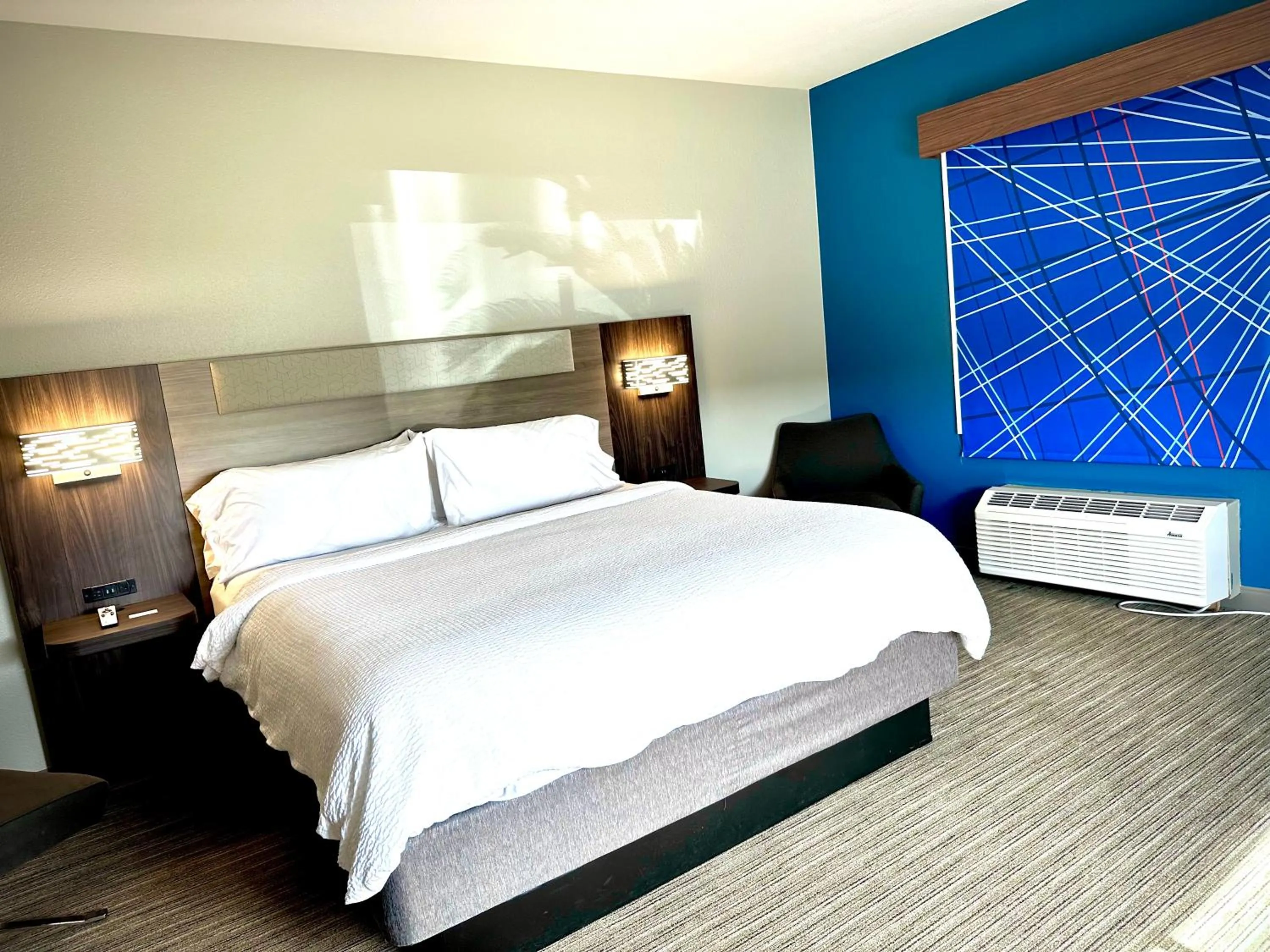 Standard King Room in Holiday Inn Express Hotel & Suites Hinesville by IHG