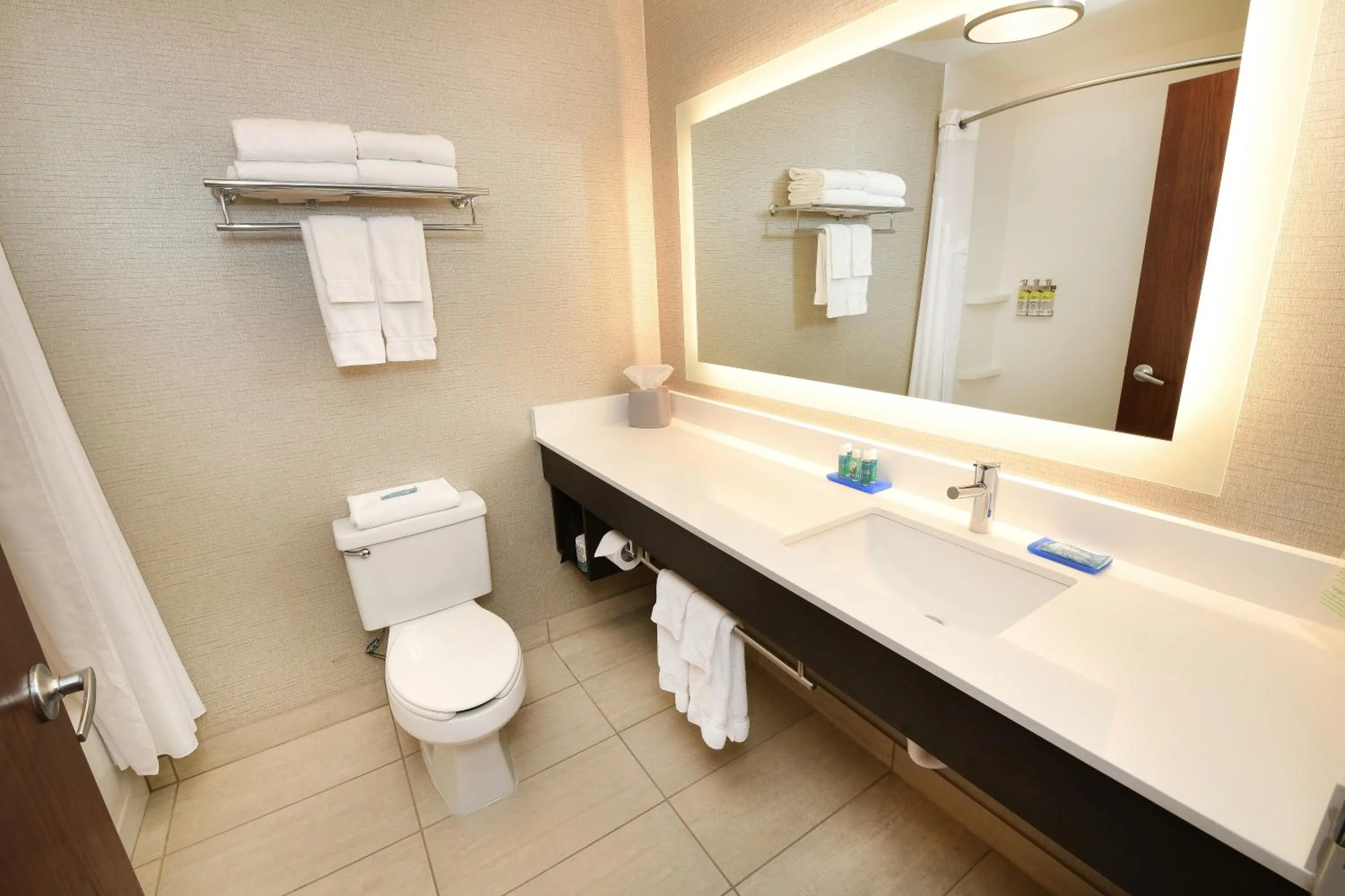 King Room with Jetted Tub in Holiday Inn Express Hotel & Suites Grand Forks by IHG