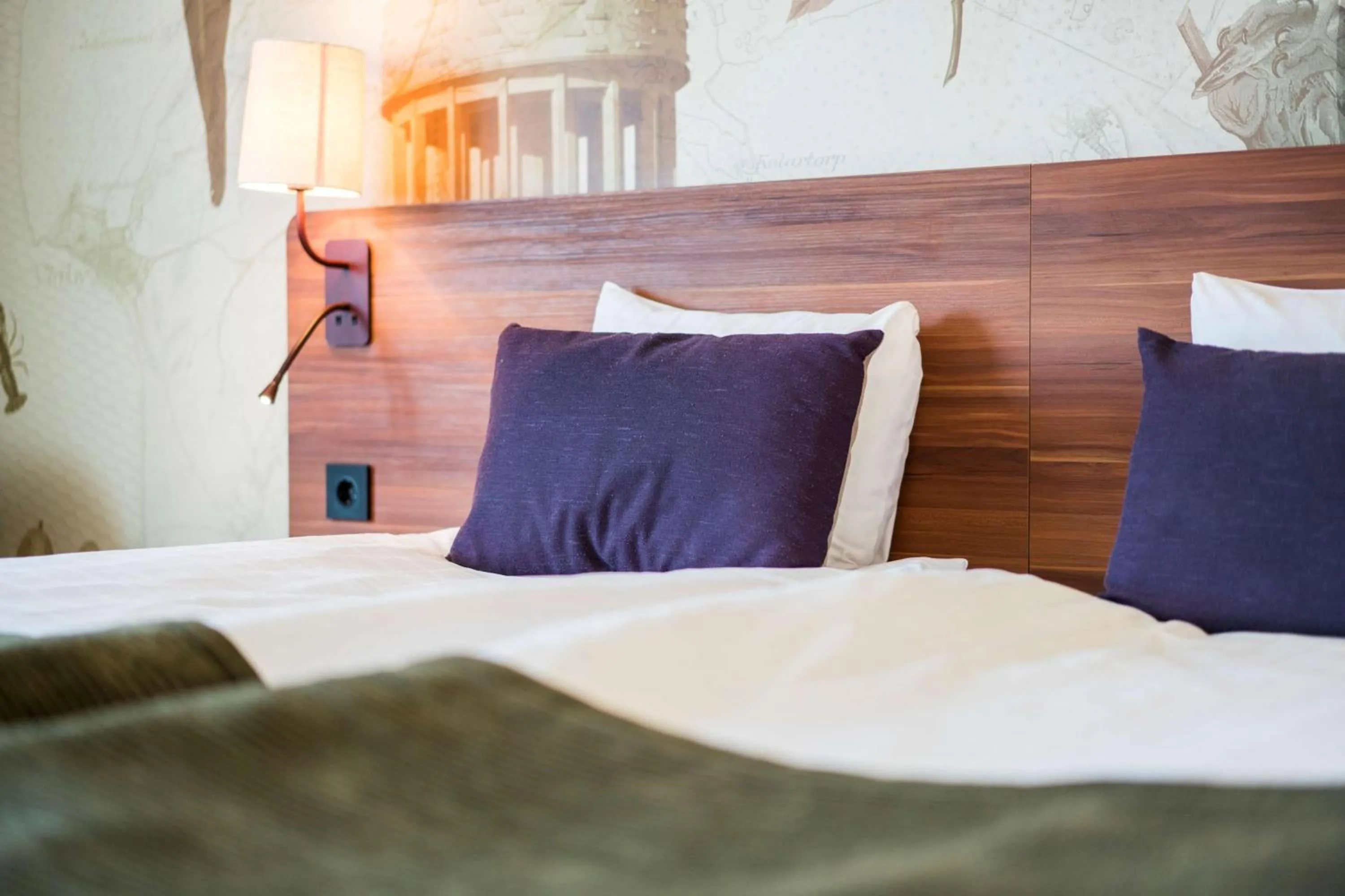 Double Room in Scandic Växjö