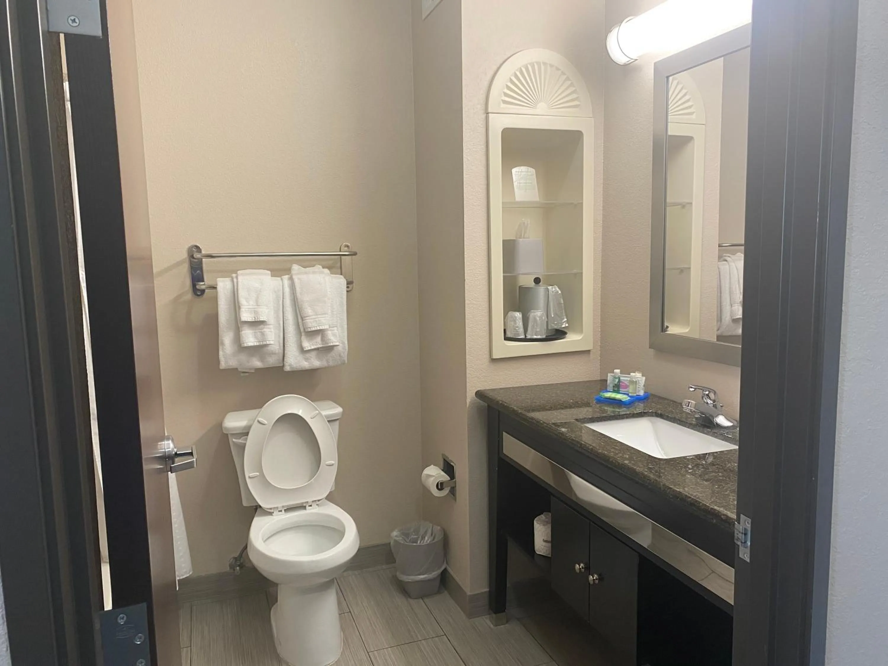 Standard King Room in Holiday Inn Express Hotel and Suites Fort Stockton by IHG