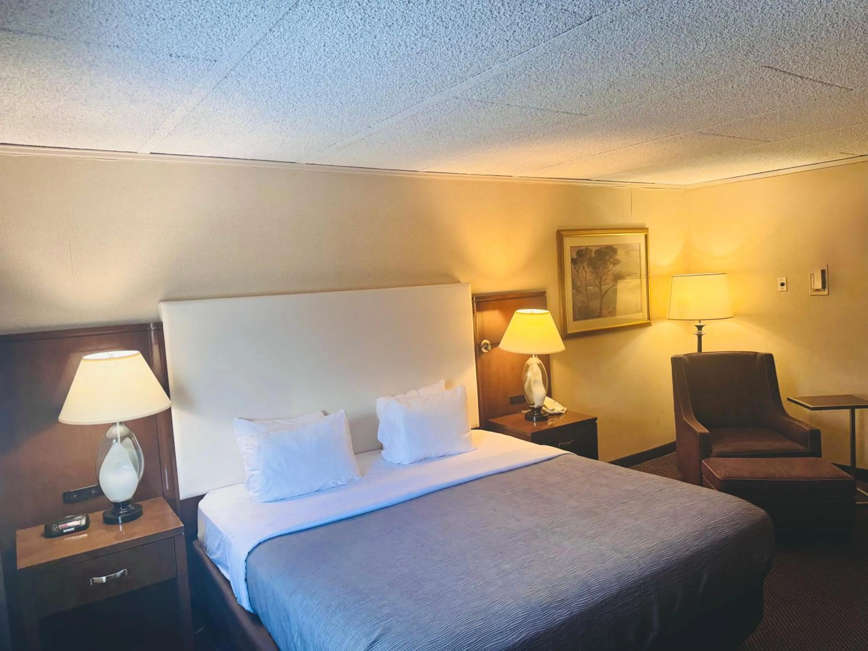 King Room - Accessible/Non-Smoking in Quality Inn Horseheads