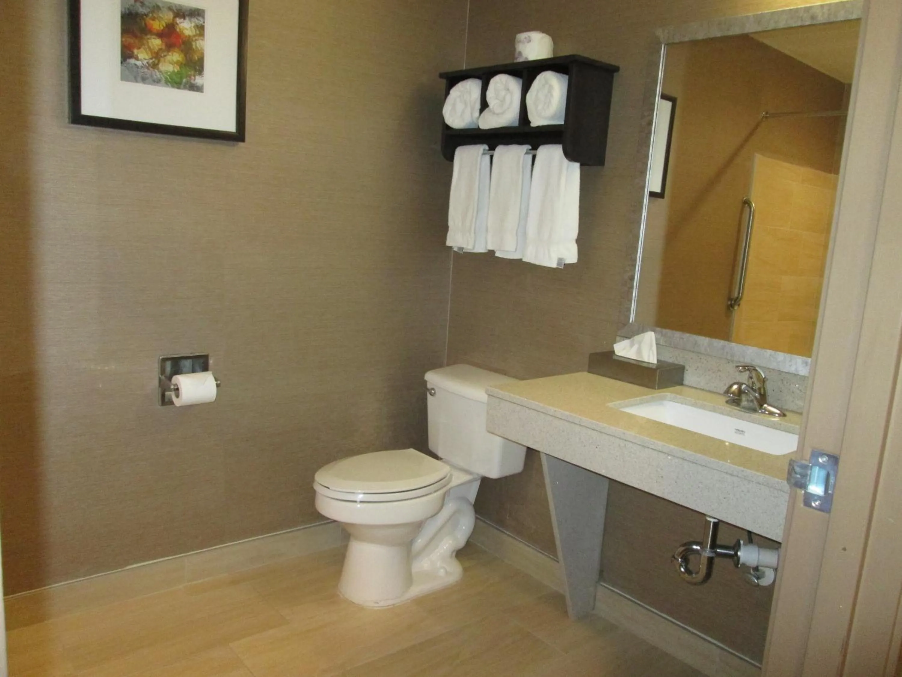 Suite - Mobility Access/Hearing Accessible in Holiday Inn Express Cloverdale - Greencastle by IHG