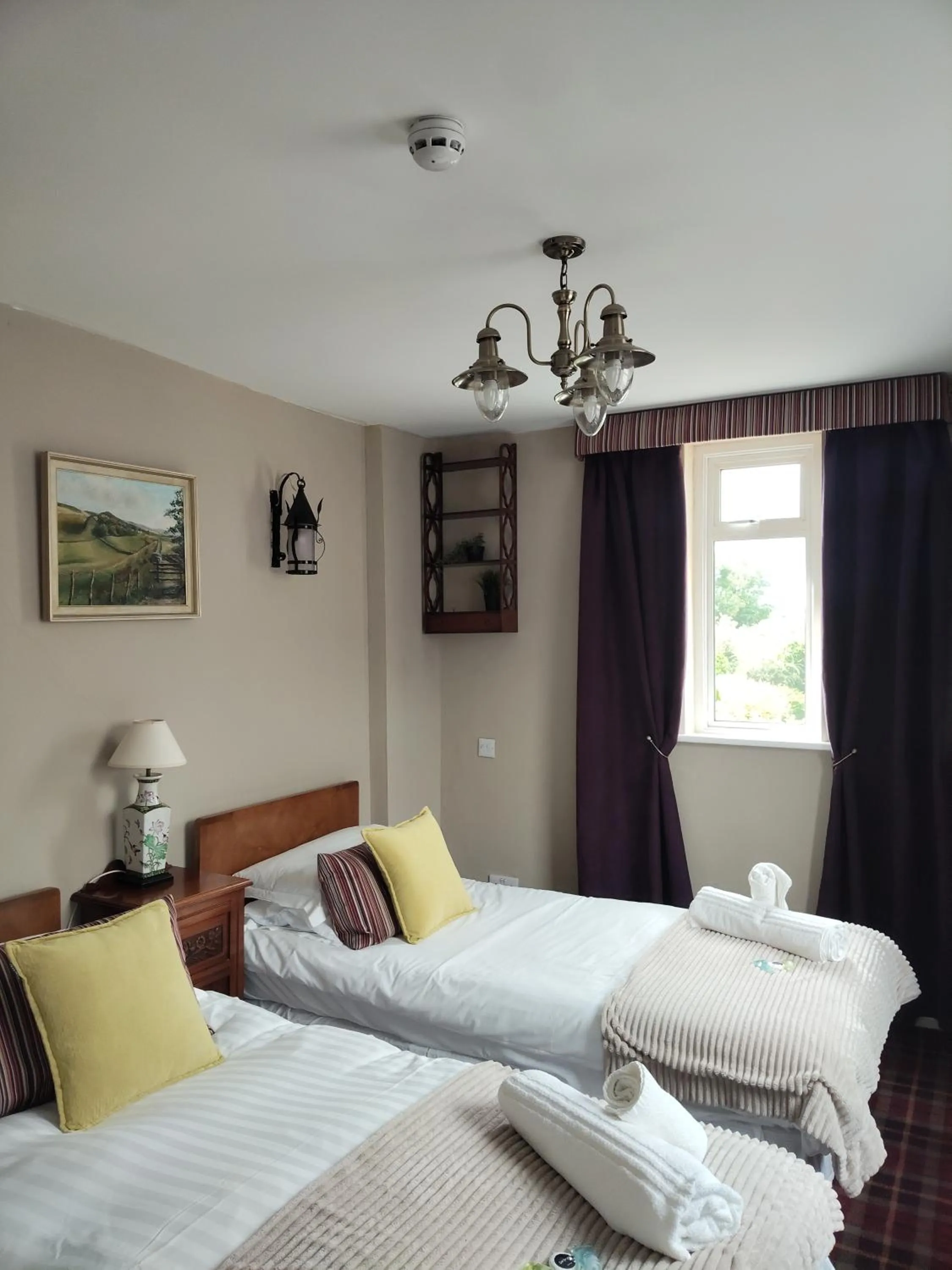 Standard Twin Room - single occupancy in Robin Hood Inn