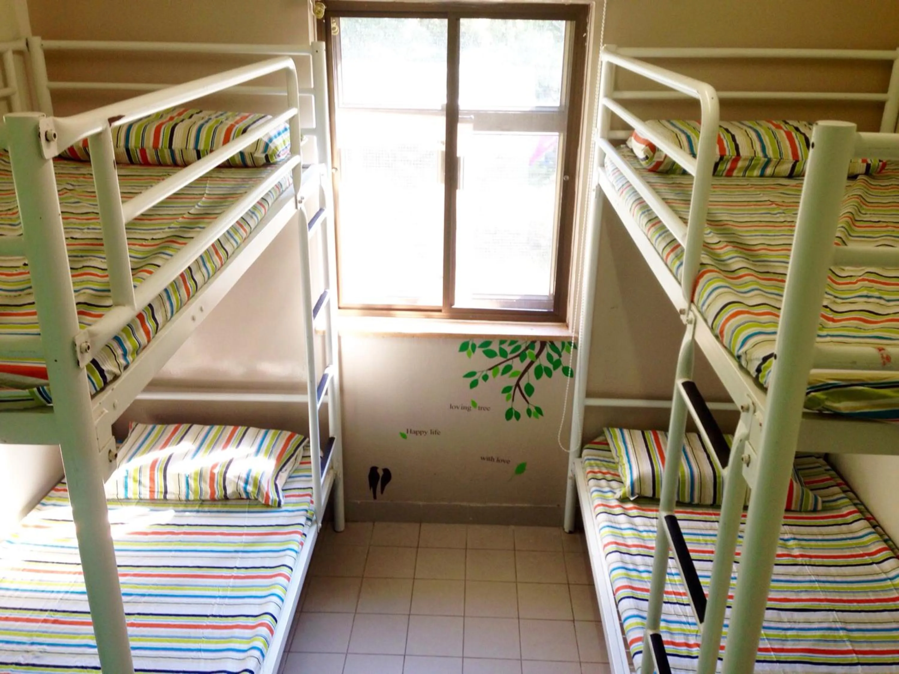 4-Person Private Dormitory with Shared Bathroom in YHA Ngong Ping SG Davis Youth Hostel