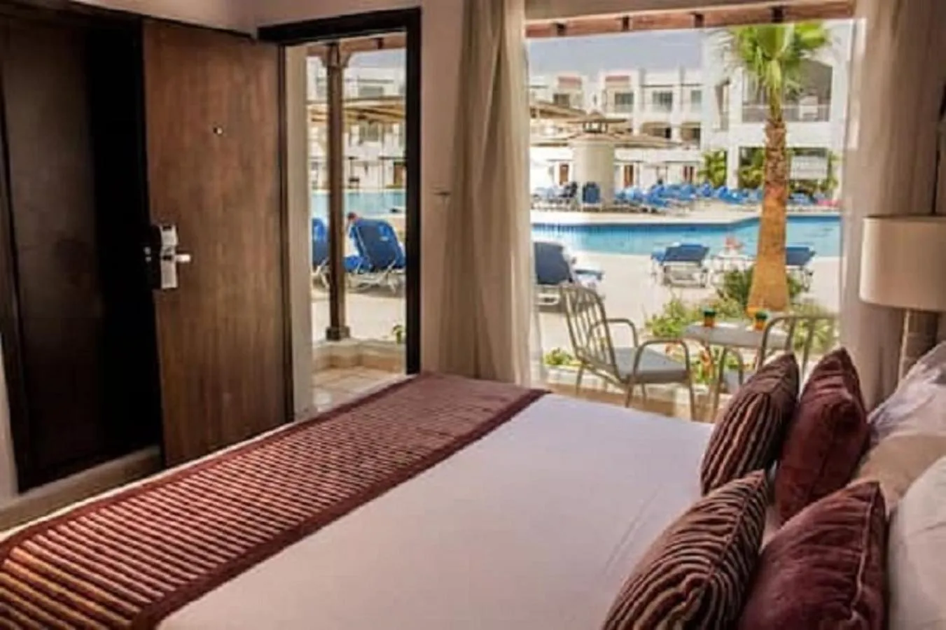 Standard Queen Bed Pool View in JAZ Neo Sharks Bay
