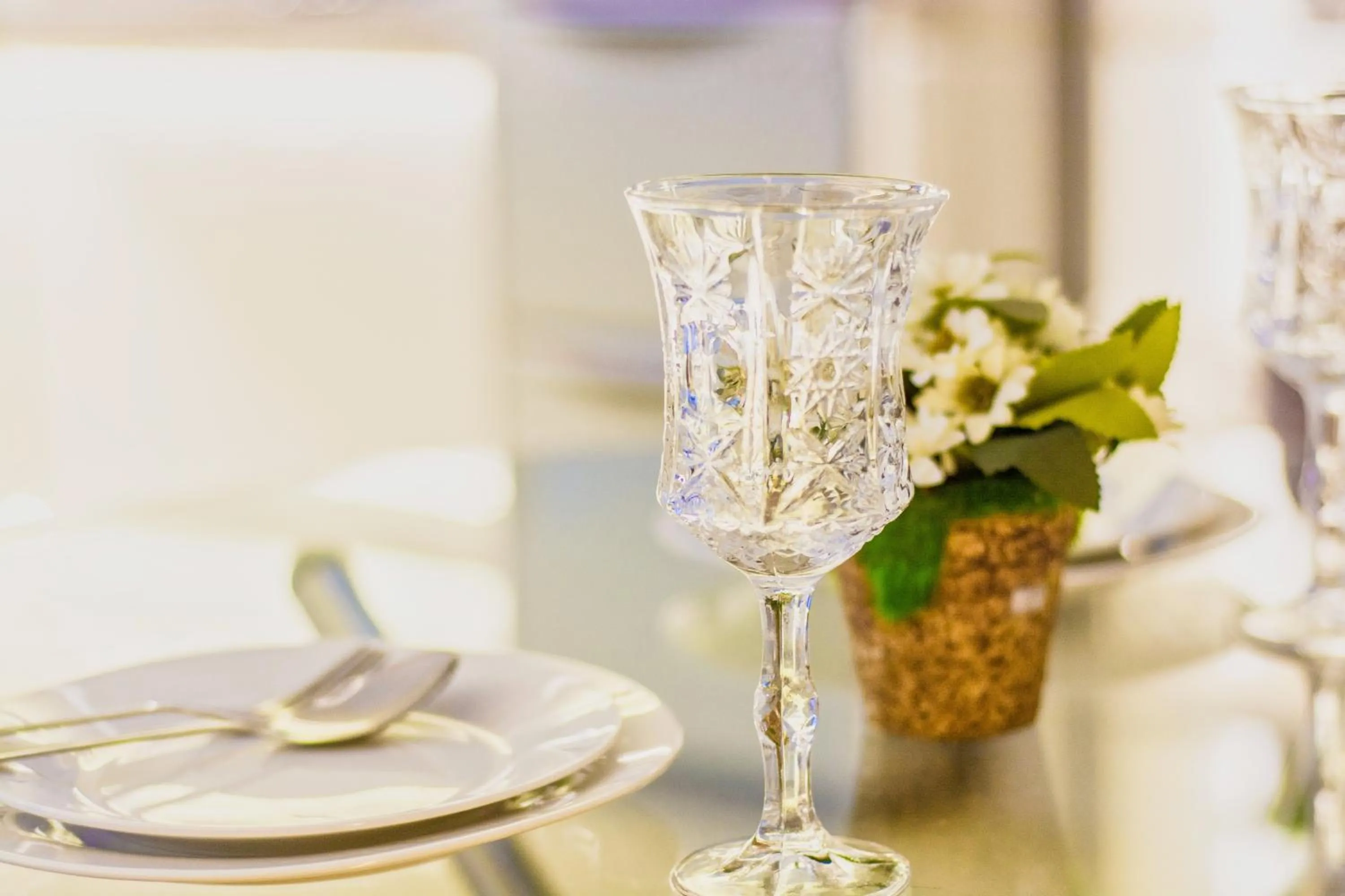 Two-Bedroom Apartment in Viengping Mansion