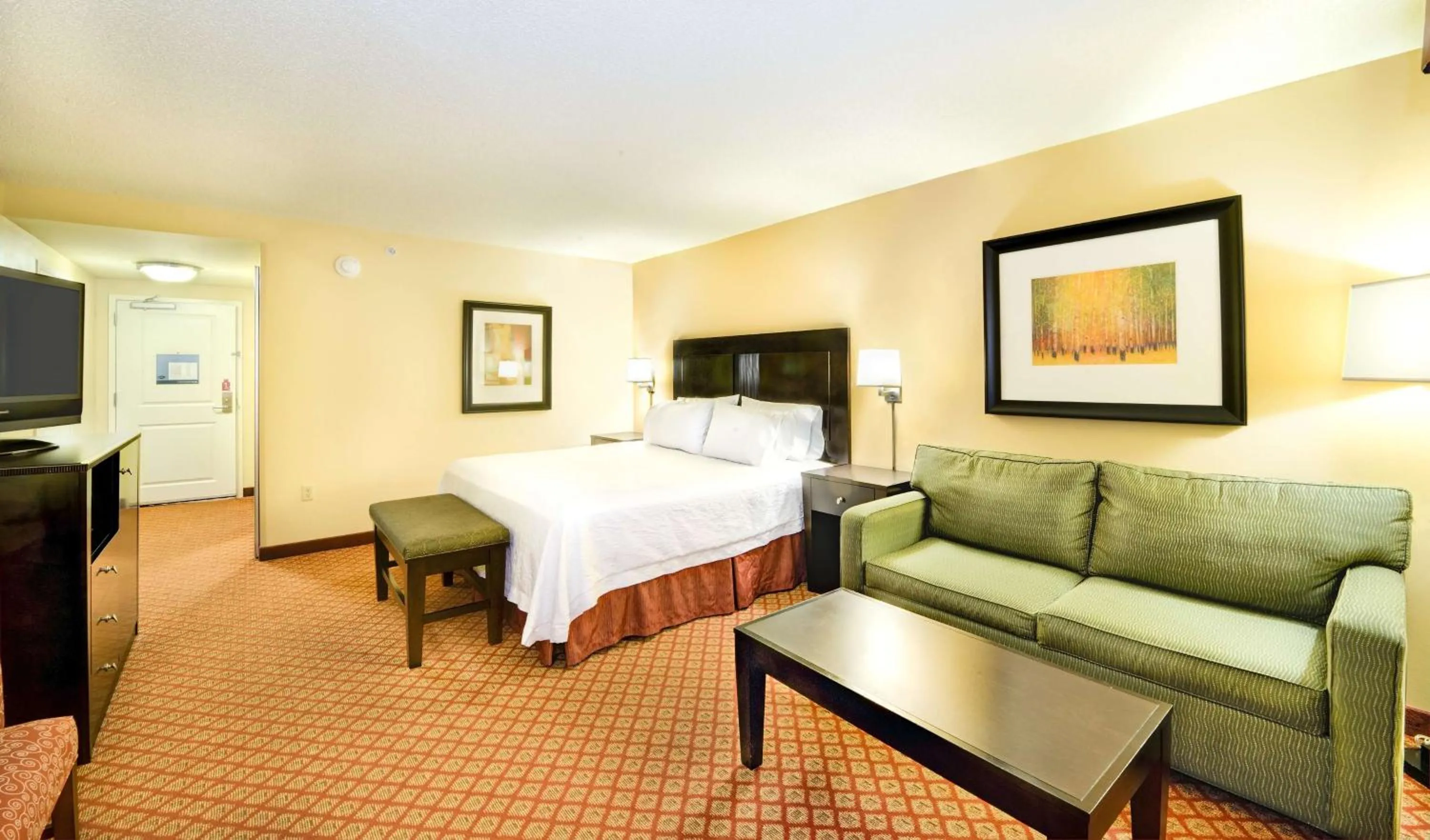King Room with Sofa Bed - Non-Smoking in Hampton Inn & Suites Scottsboro