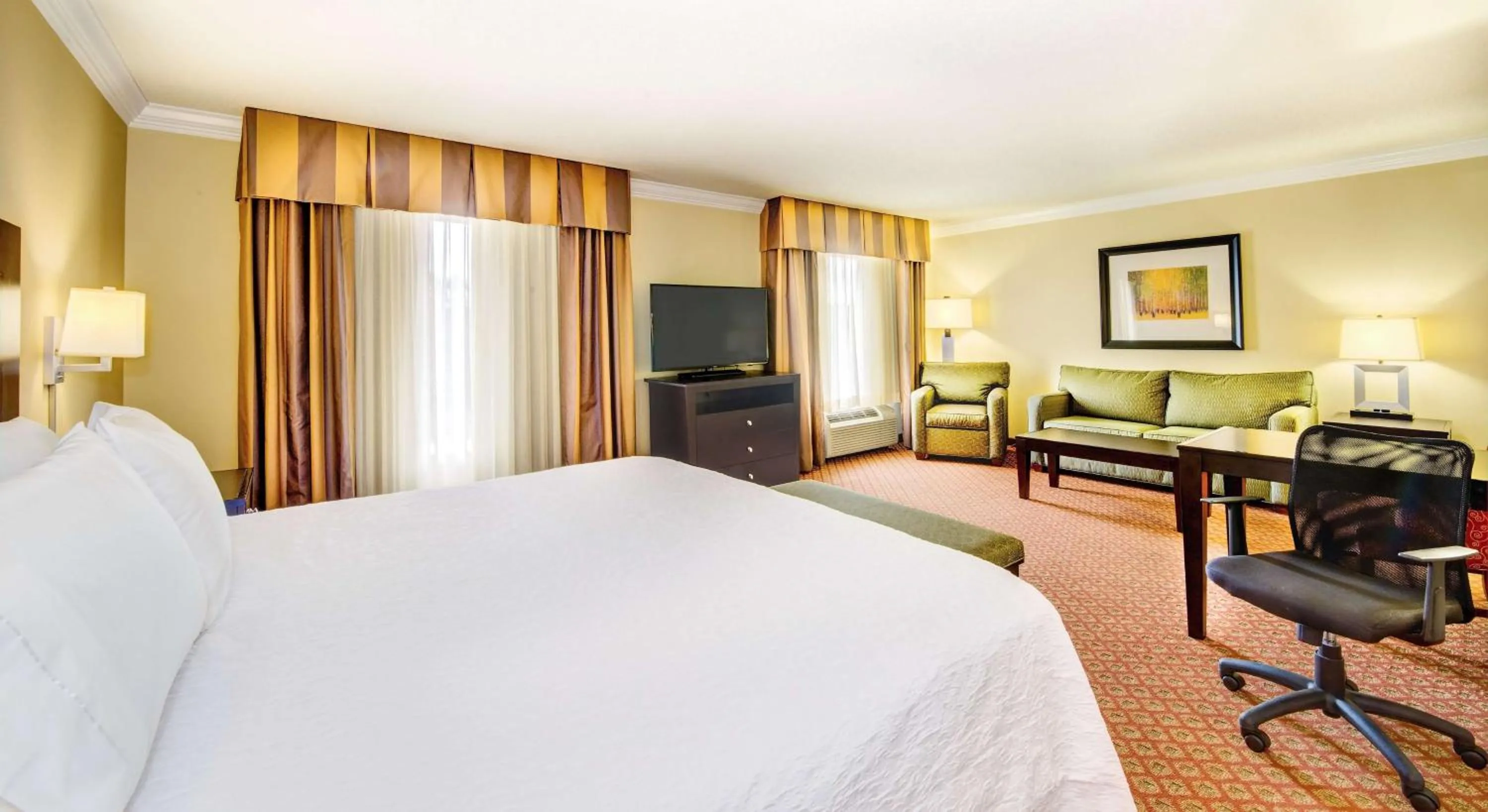King Studio Suite - Non-Smoking in Hampton Inn & Suites Scottsboro