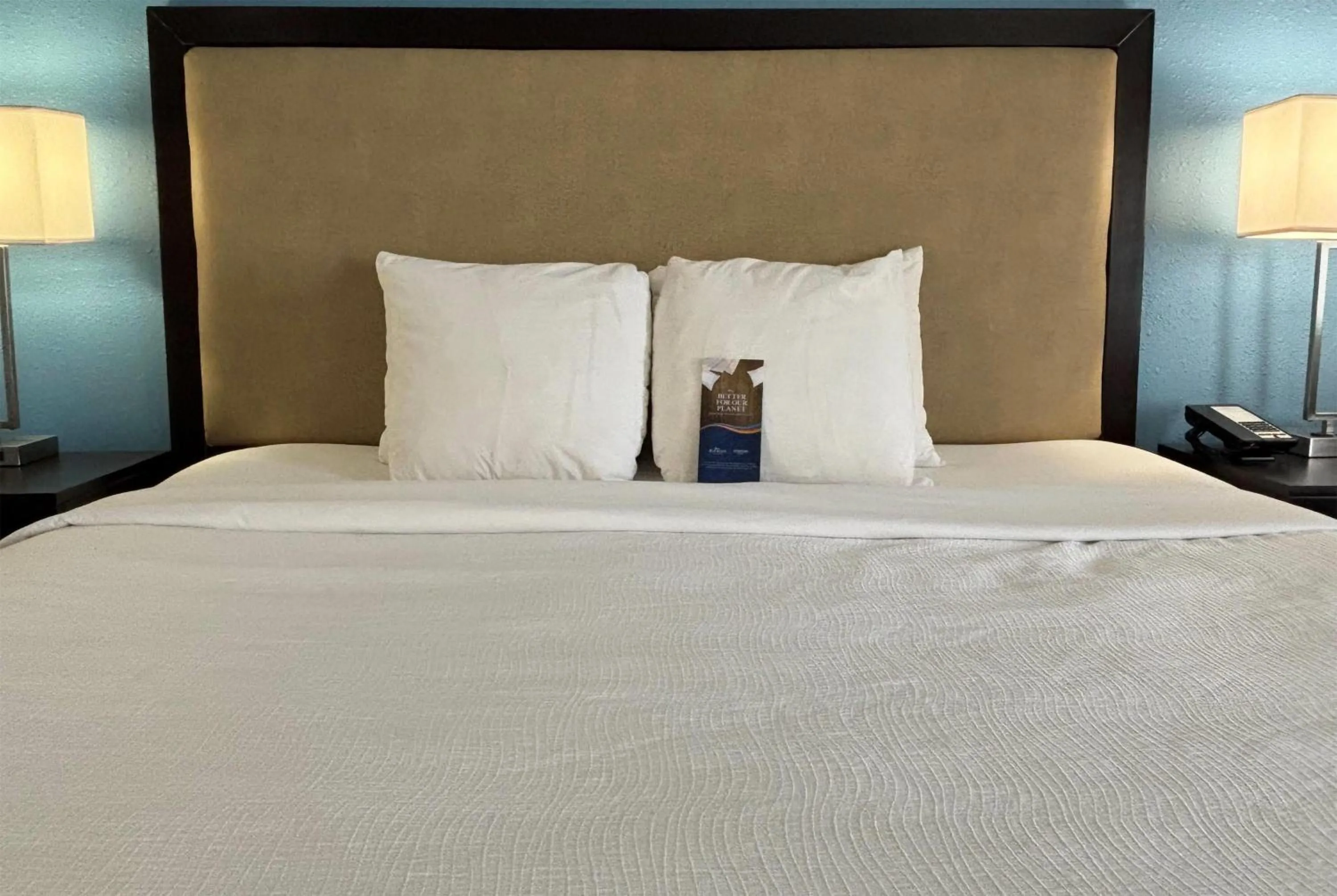 Deluxe King Studio Suite - Non-Smoking in Baymont by Wyndham Litchfield