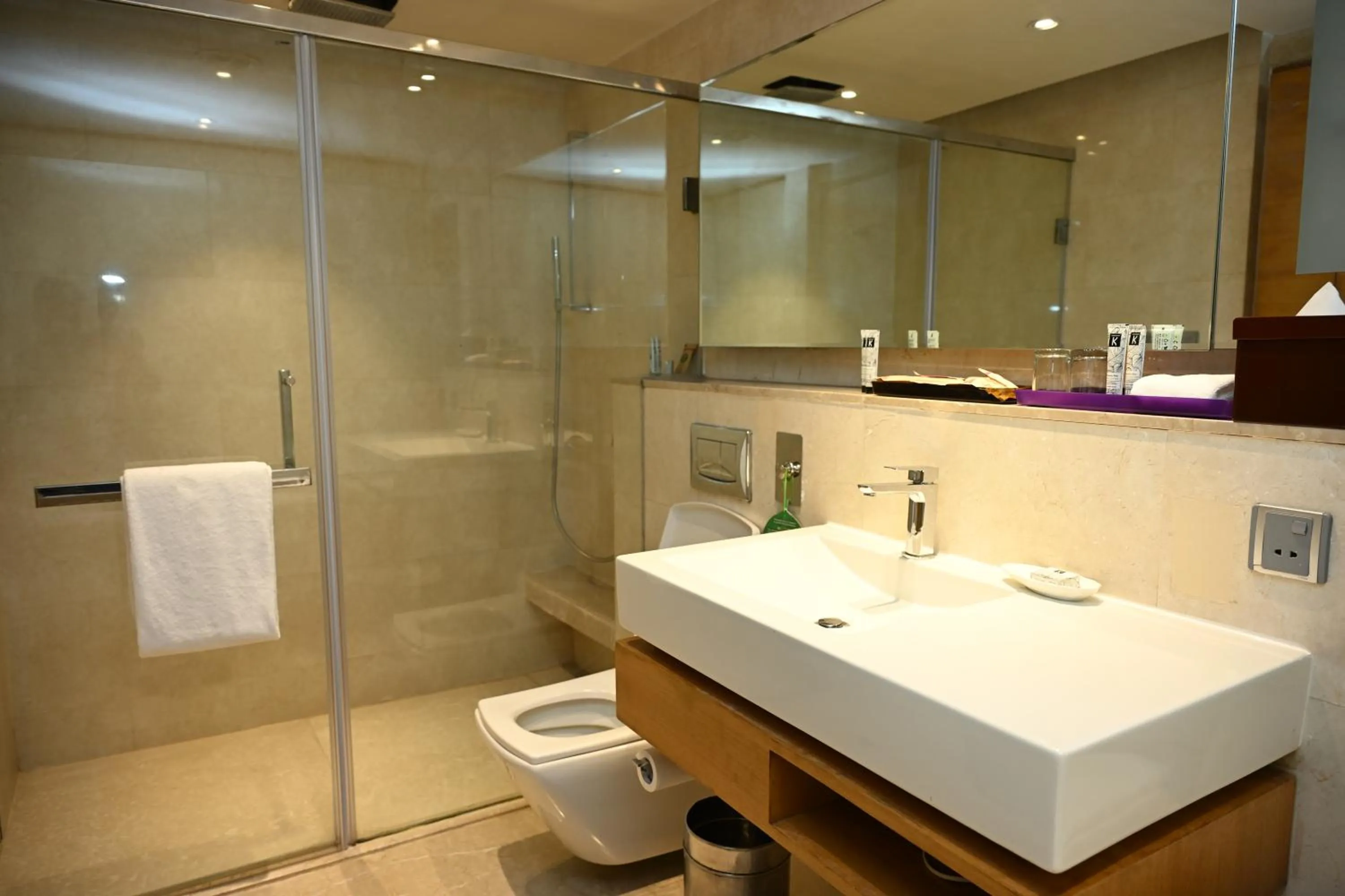 Premier Twin Room - 10% discount on Food & soft beverages, Laundry & Spa in The LaLiT New Delhi