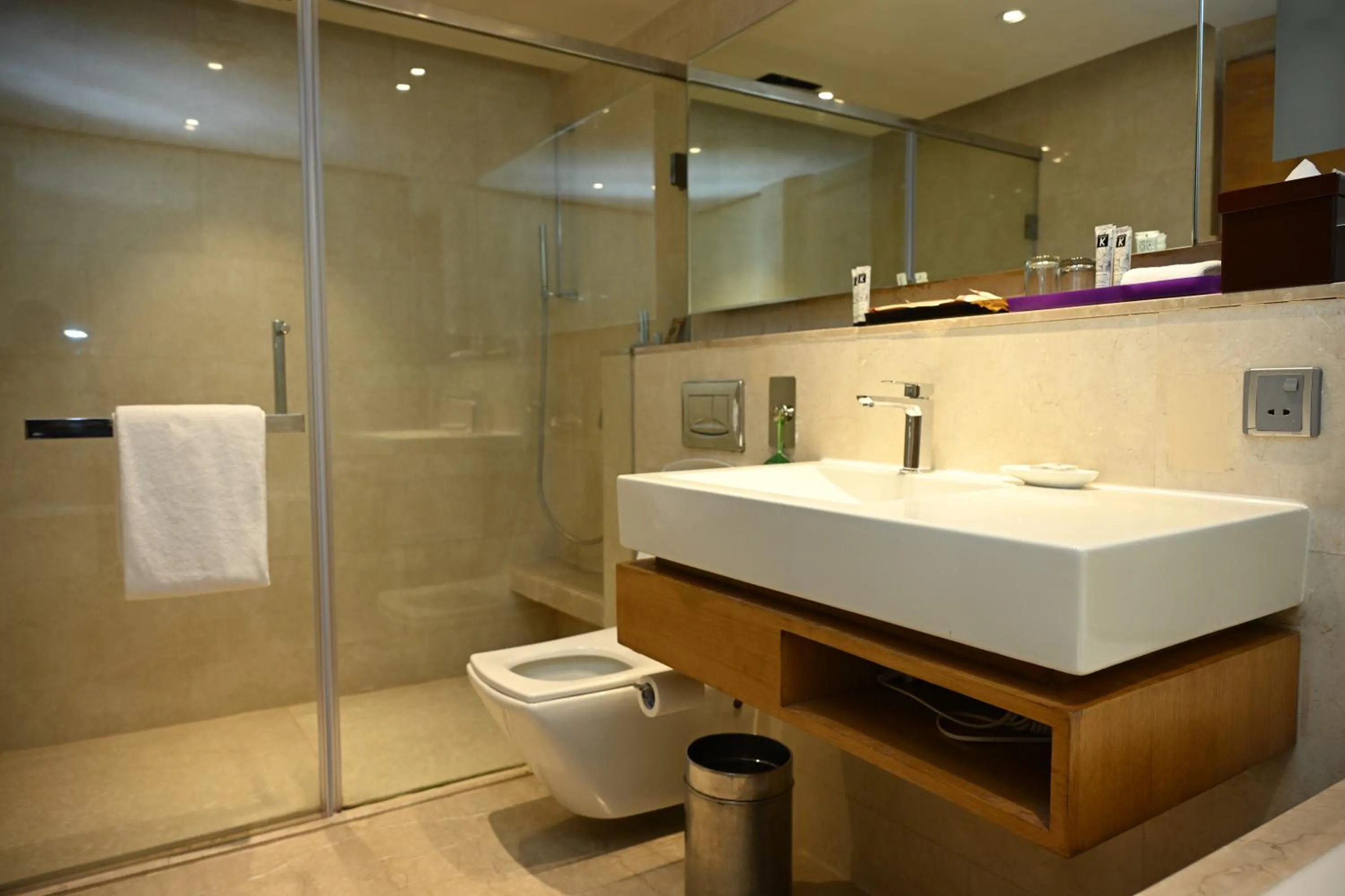 Deluxe Twin Room - 10% discount on Food & soft beverages, Laundry & Spa in The LaLiT New Delhi