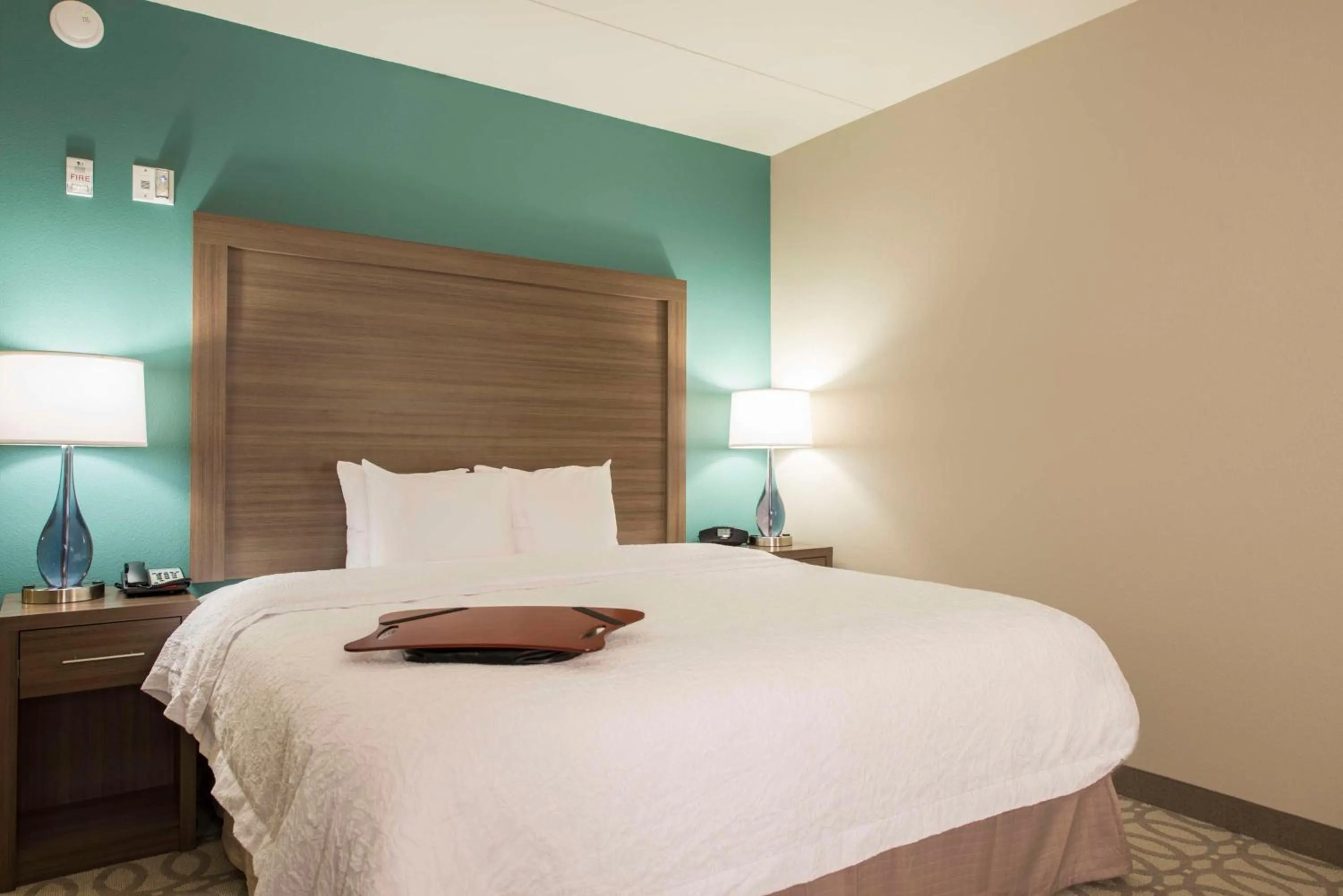 King Room in Hampton Inn Greenville/I-385 Haywood Mall, SC