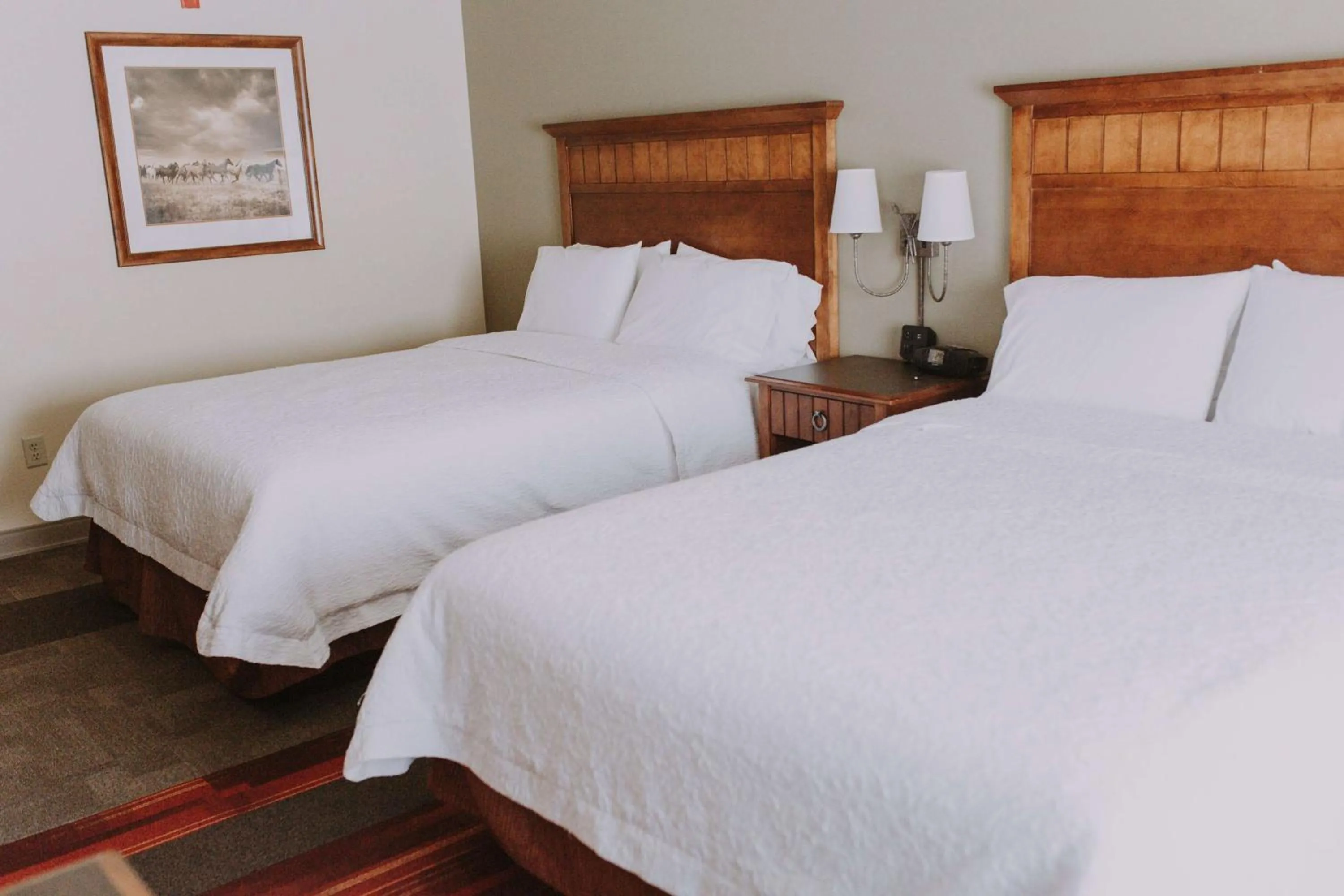 Queen Room with Two Queen Beds - Mobility and Hearing Access/Non-Smoking in Hampton Inn & Suites Green River