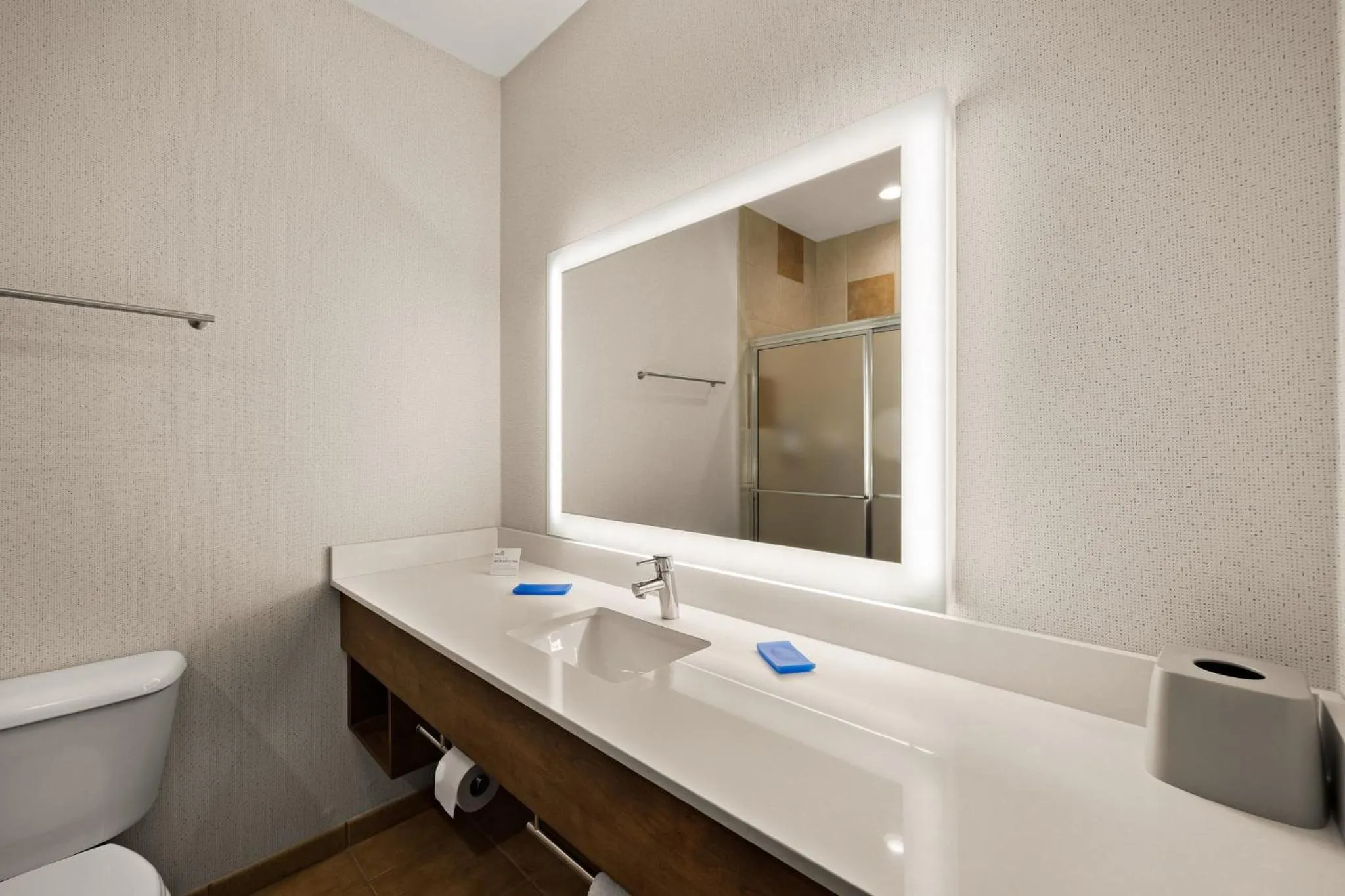 Standard Room in Holiday Inn Express Hotel & Suites Limon I-70/Exit 359 by IHG