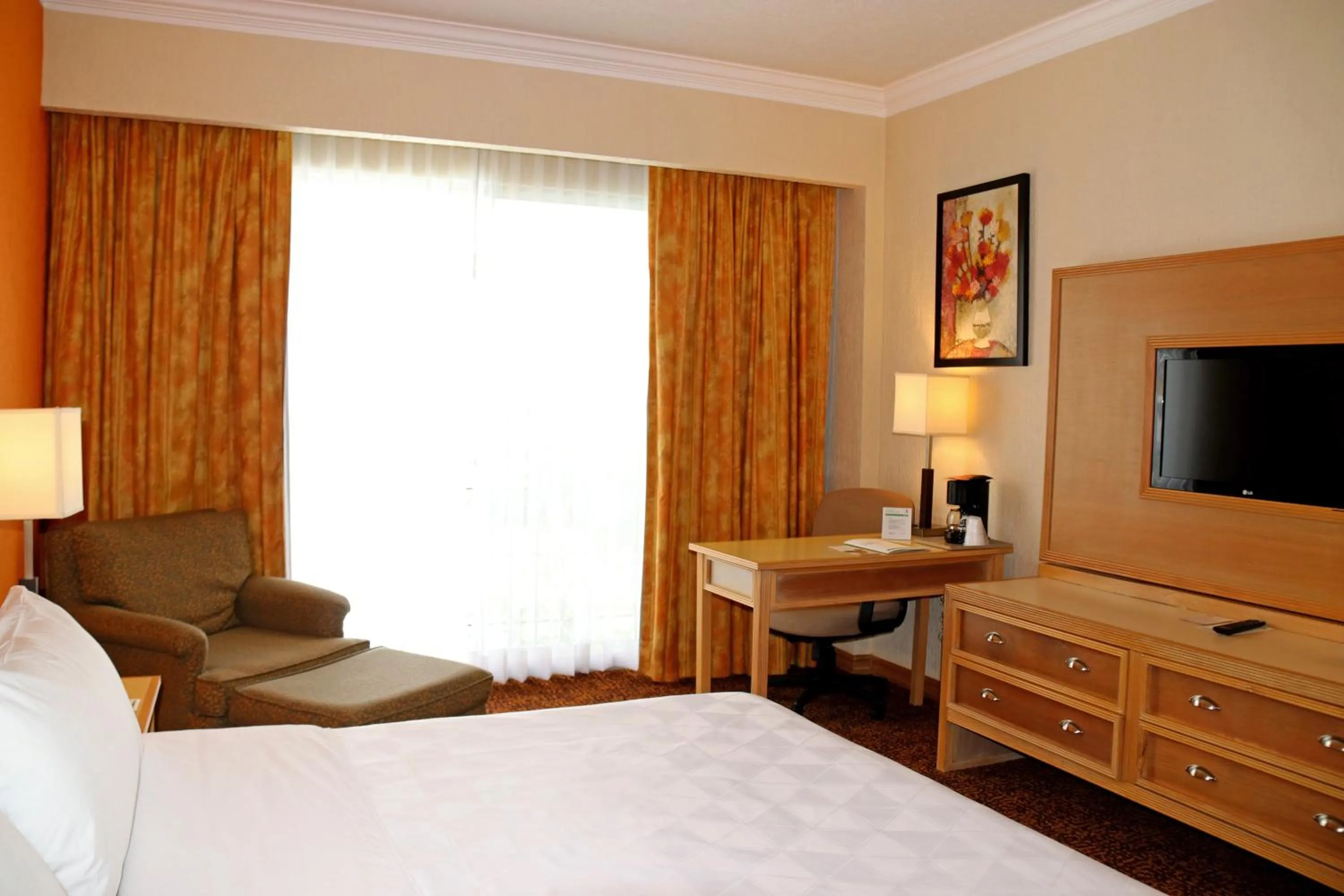 Standard Room in Holiday Inn La Piedad by IHG