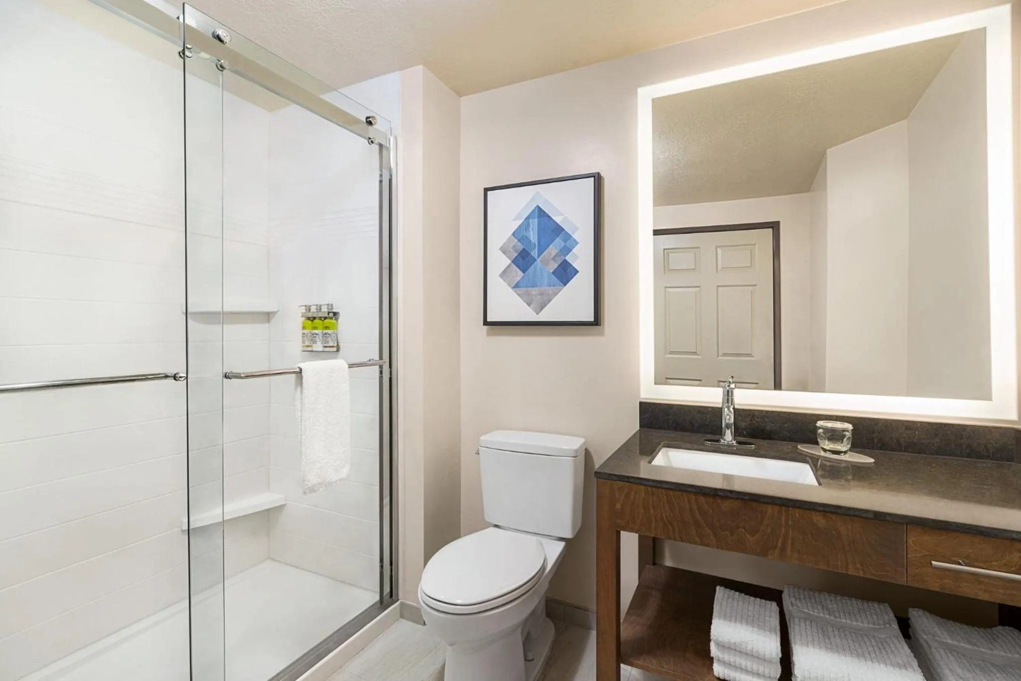 Queen Room with Hearing Mobility Accessible Roll In Shower in Candlewood Suites Boise-Meridian by IHG