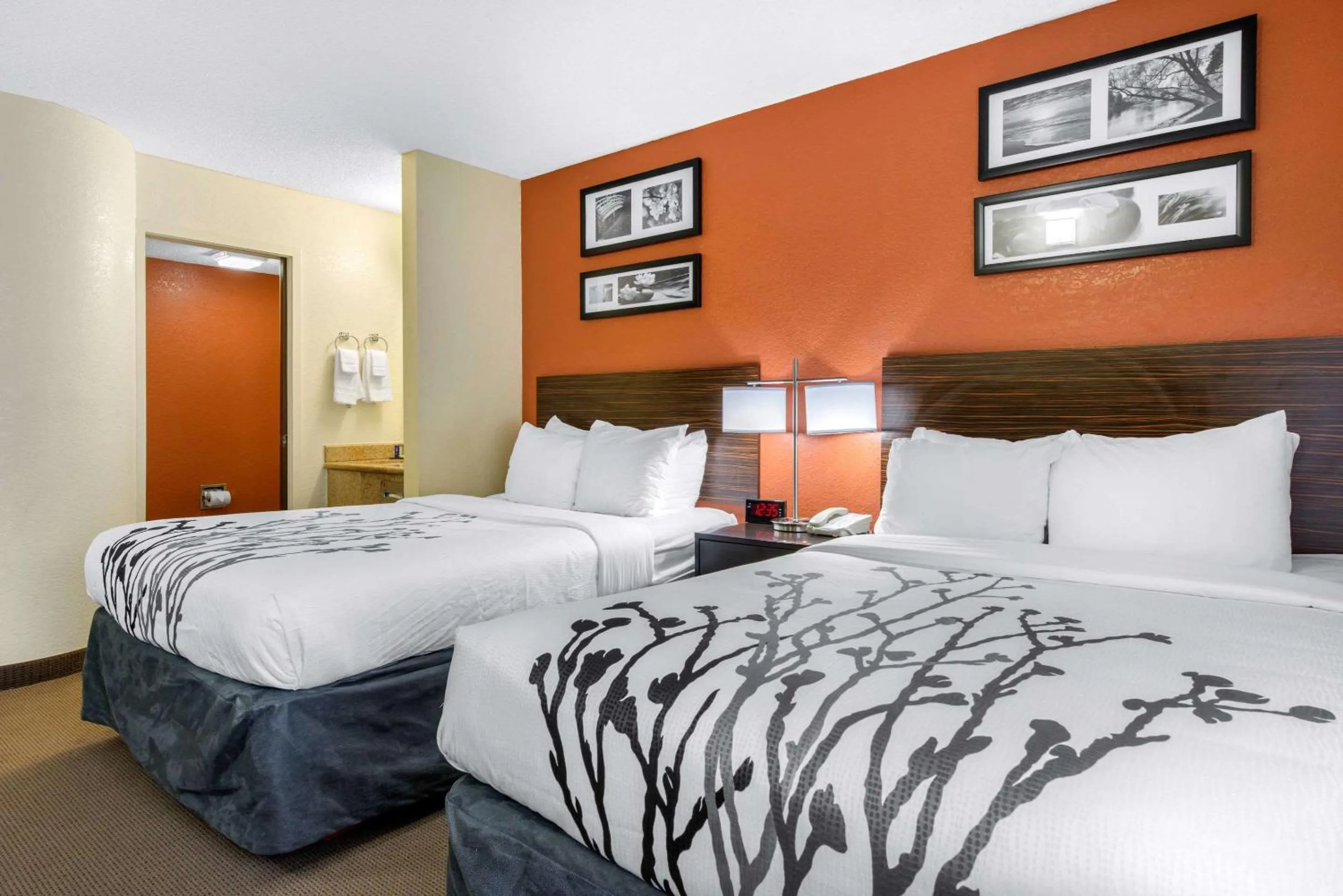 Double Room with Roll-In Shower - Accessible/Non Smoking in Sleep Inn Sarasota North