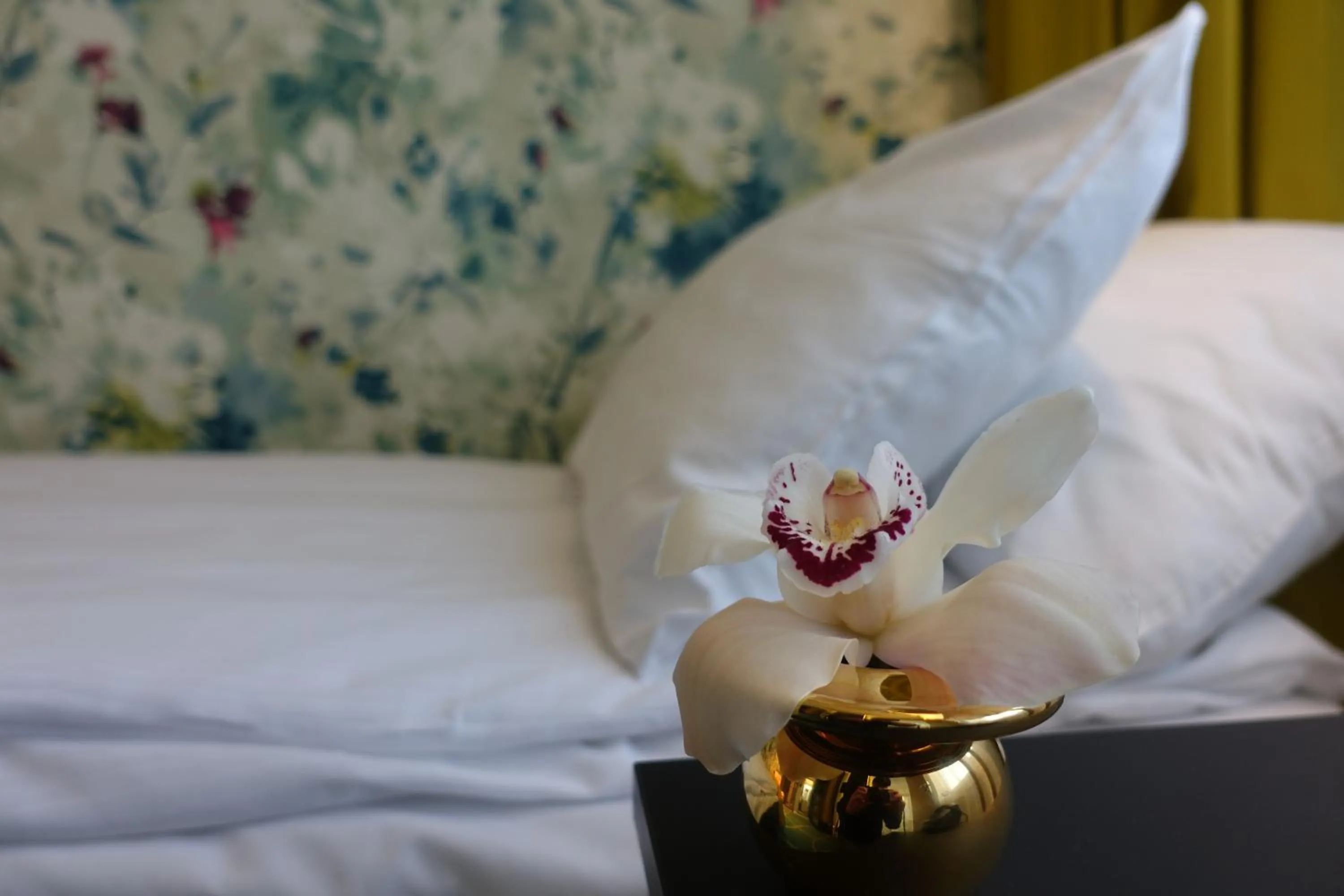 Standard Single Room in Thon Hotel Lofoten