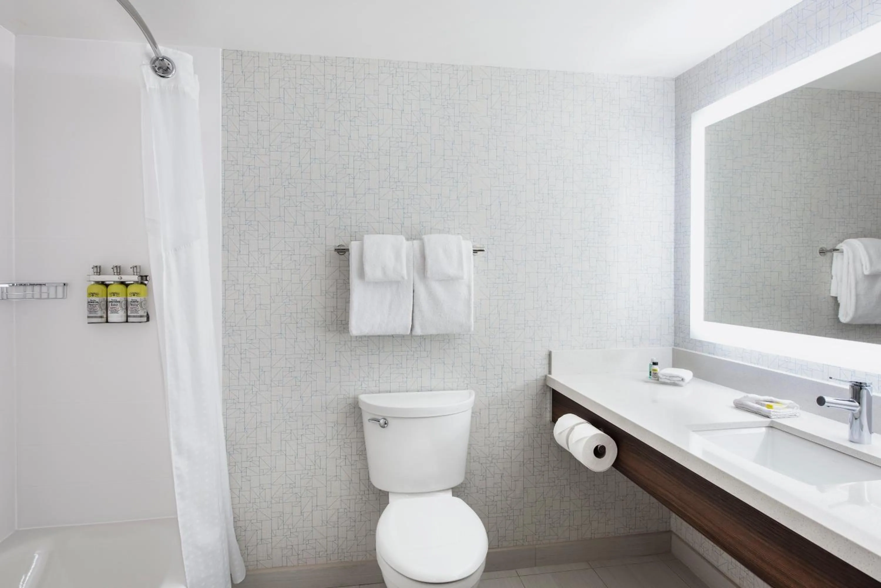 Standard Queen Room in Holiday Inn Express Hotel & Suites Saskatoon by IHG