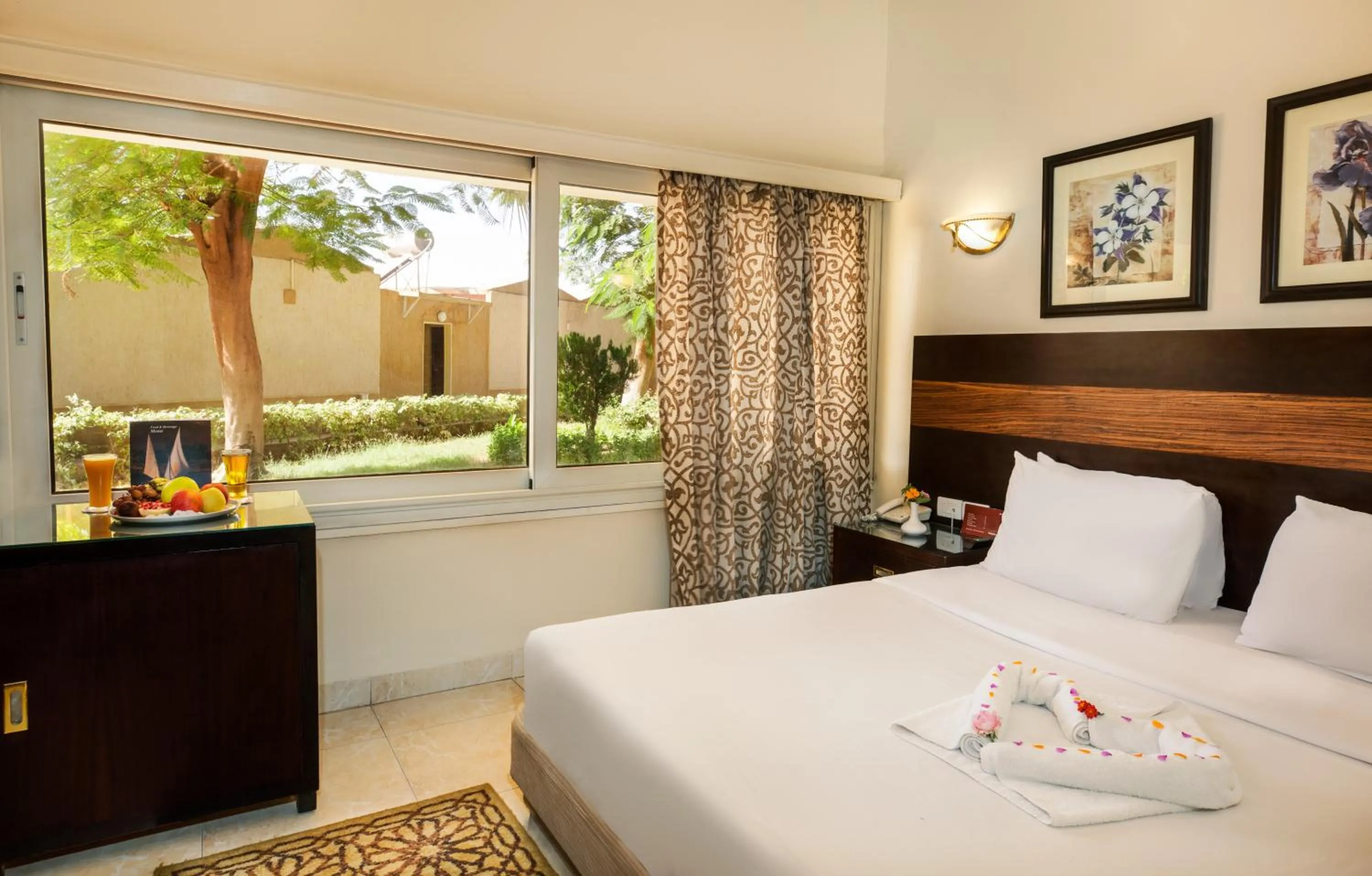 Single Room with Garden View in Obelisk Nile Hotel Aswan