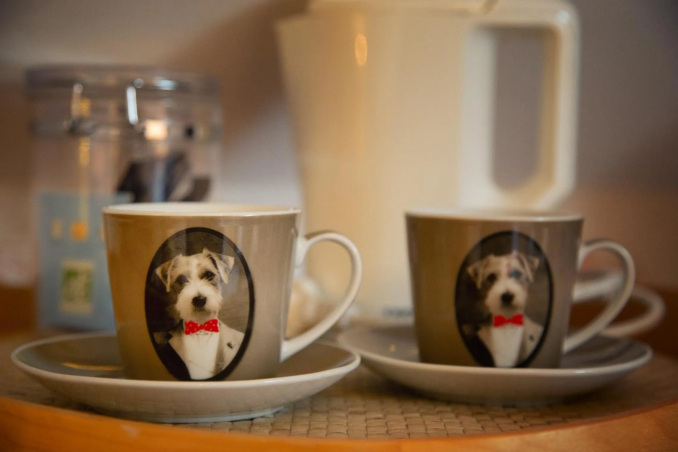 Single Room in Hôtel & Spa Chai De La Paleine