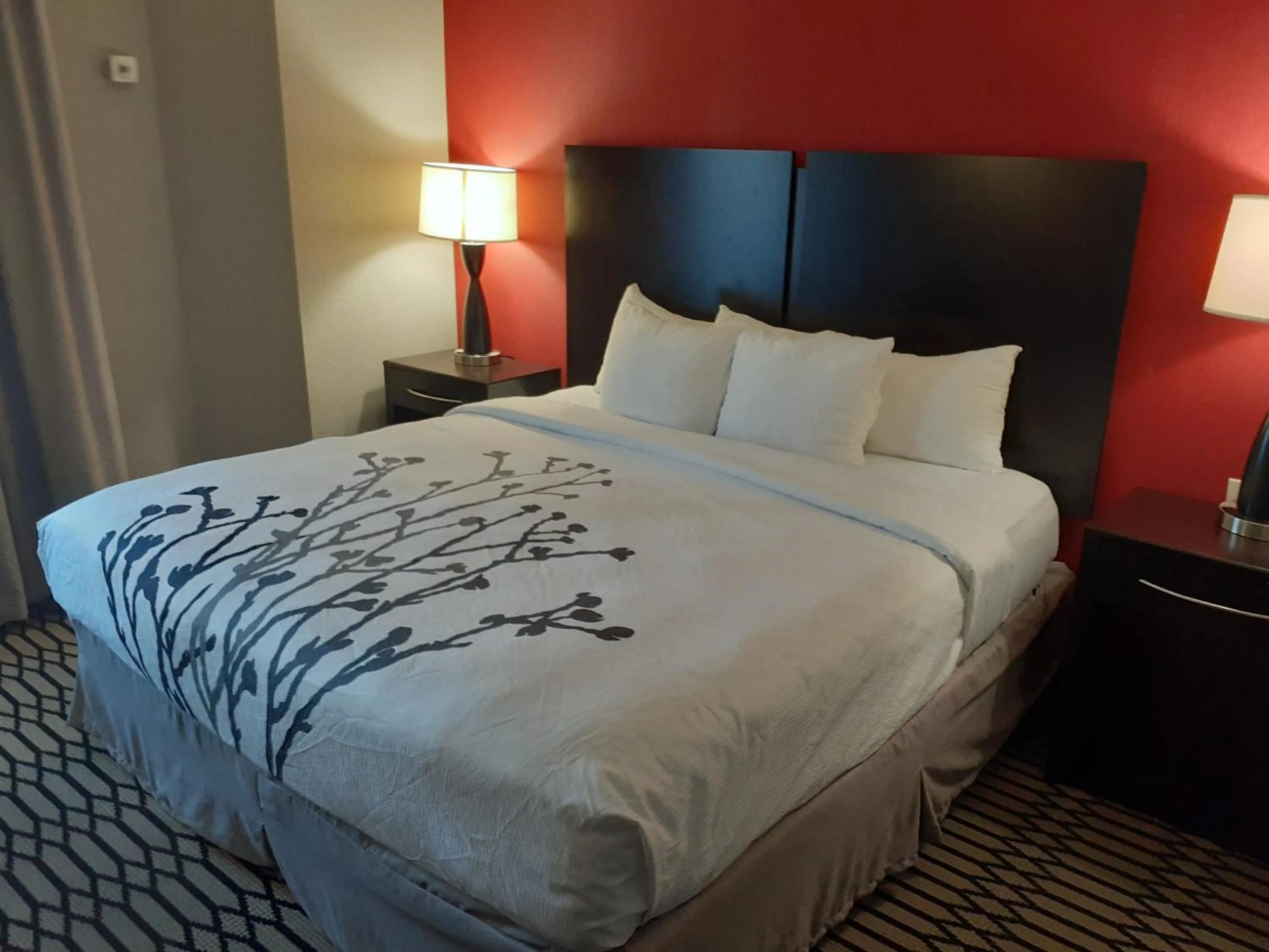 King Room with Accessible Tub - Accessible/Non-Smoking in Independent SPHC BWI Suites