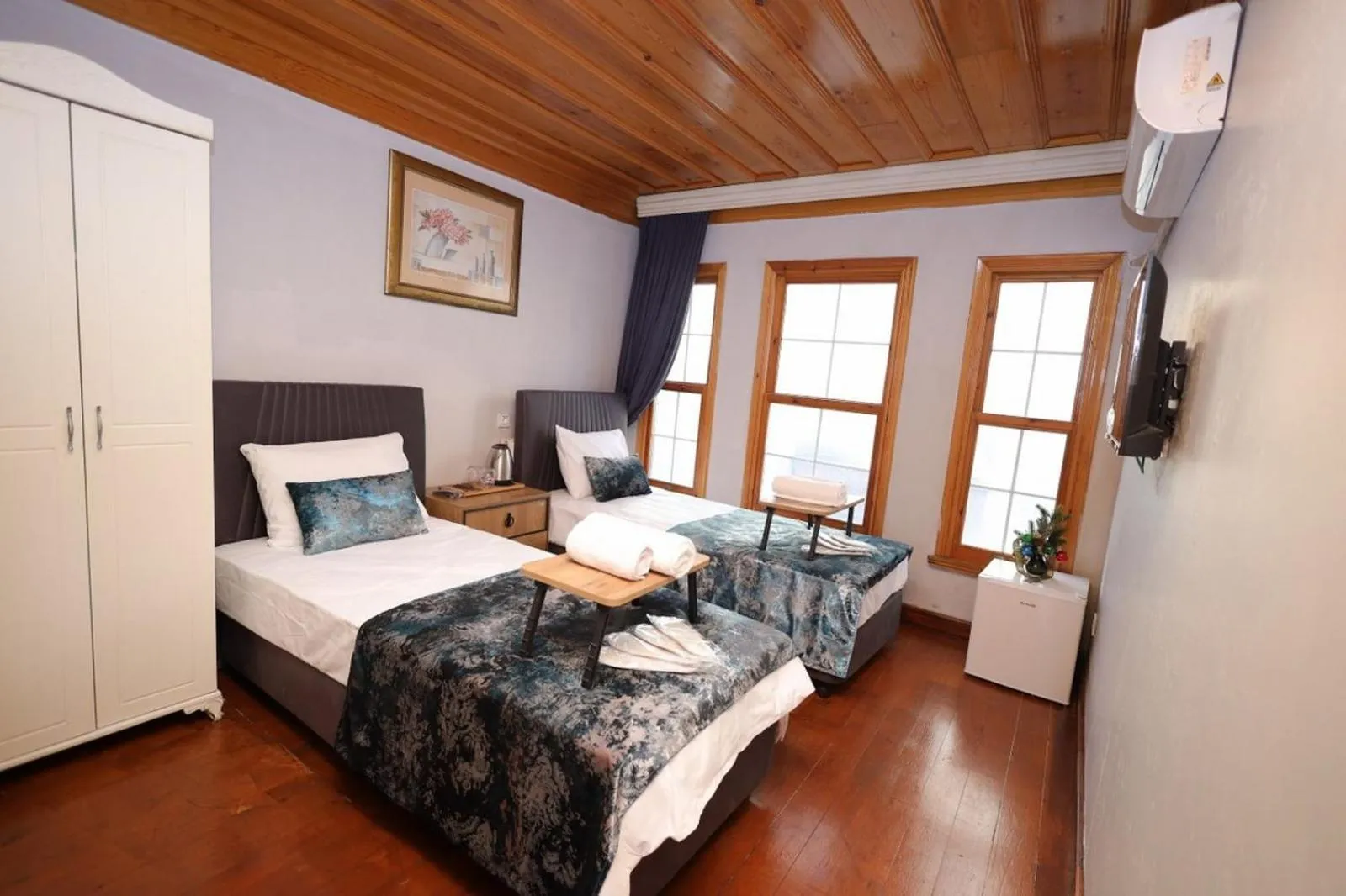 Deluxe Double or Twin Room in The Trip istanbul Hotel