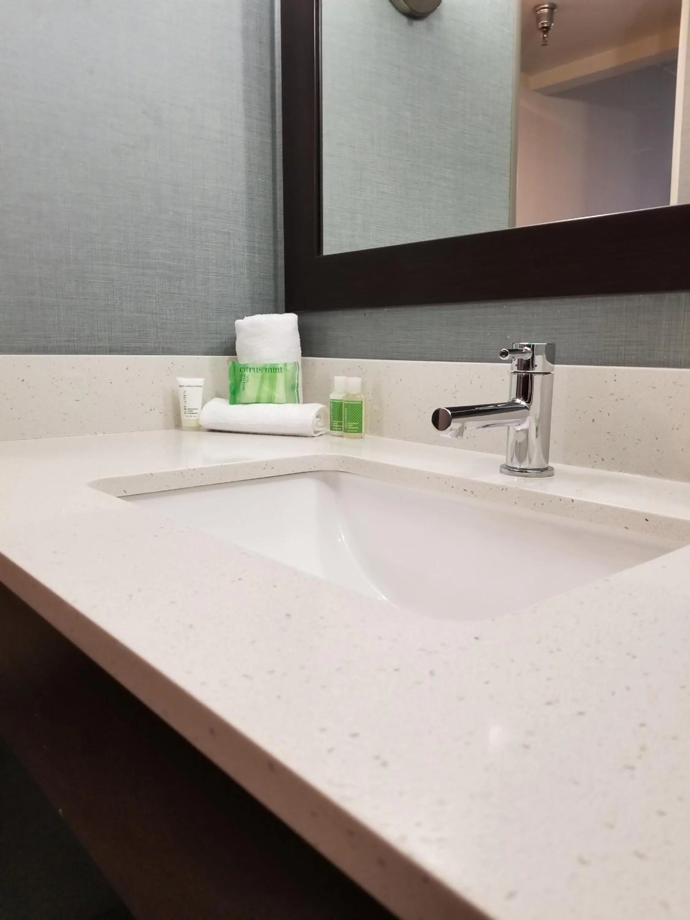 One-Bedroom Suite with Jetted Tub in Holiday Inn Youngstown-South - Boardman by IHG