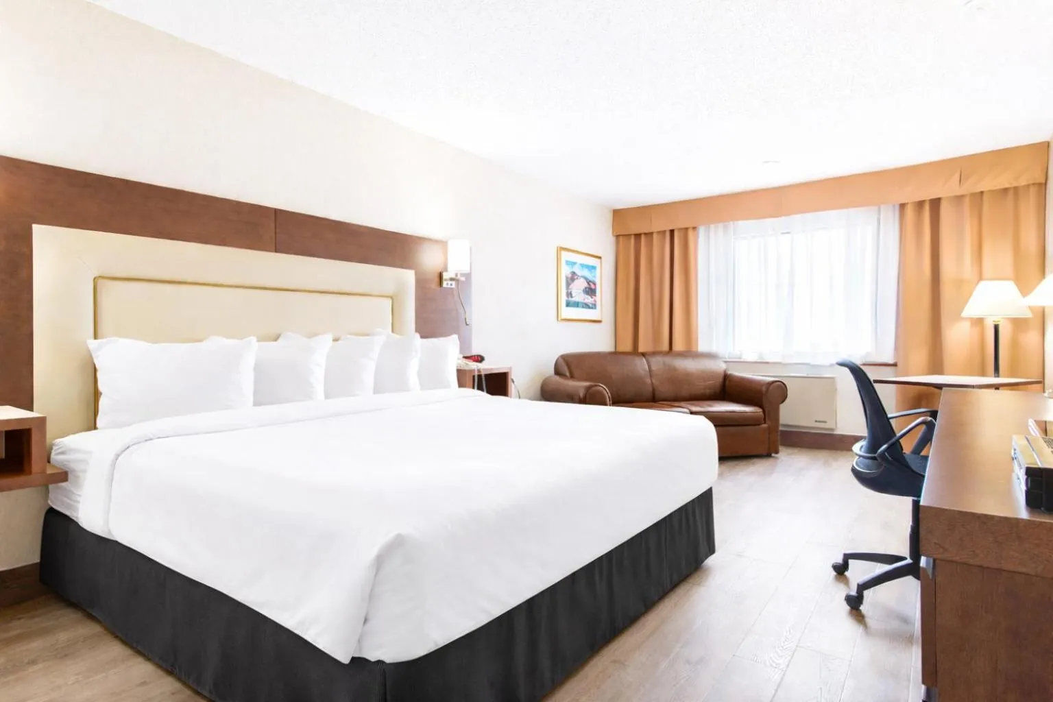 Executive King Room with Sofa Bed in Quality Inn & Suites