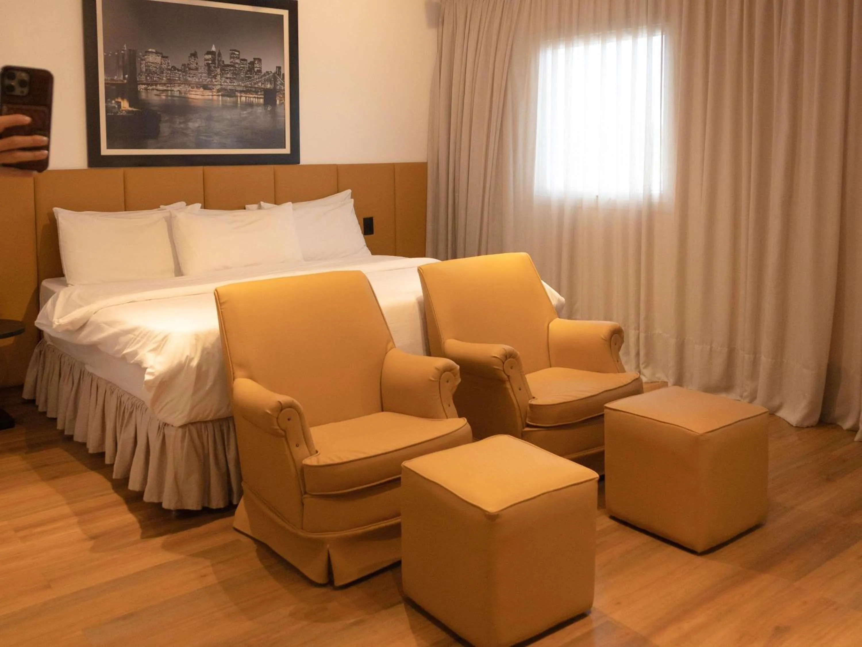 Superior Room with One King bed and Extra Bed in ibis Catanduva