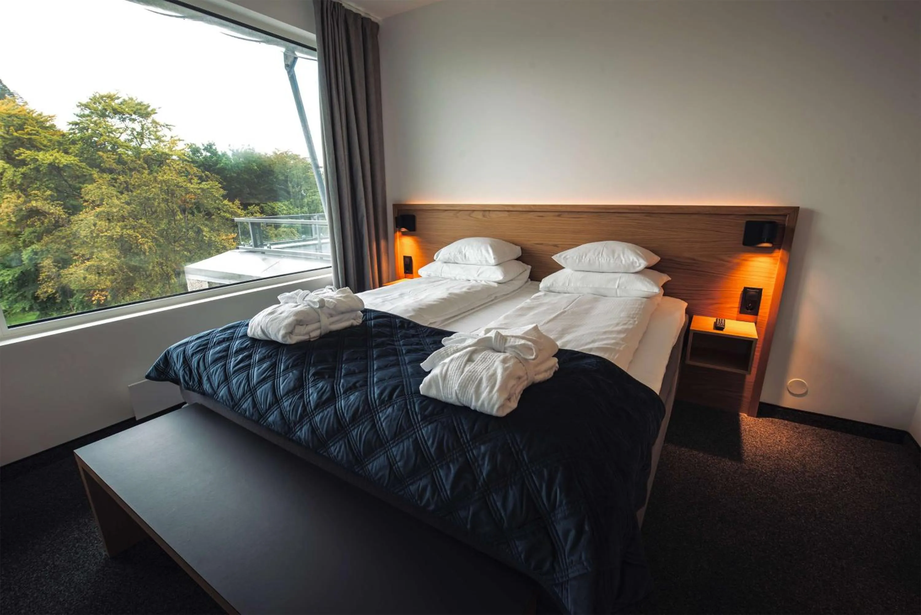 Junior Suite in Scandic Parken