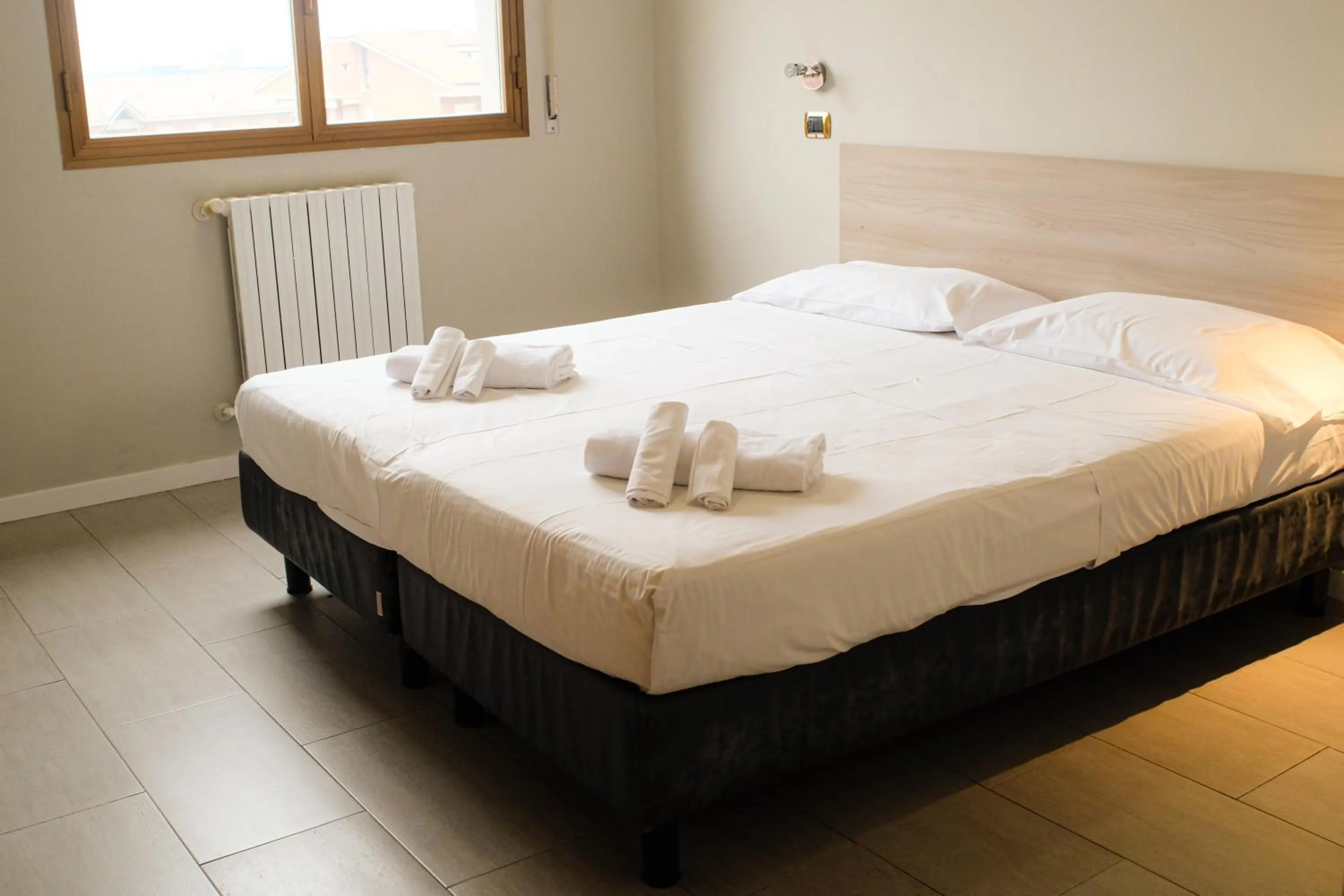 Economy Double Room in Hotel Brianza