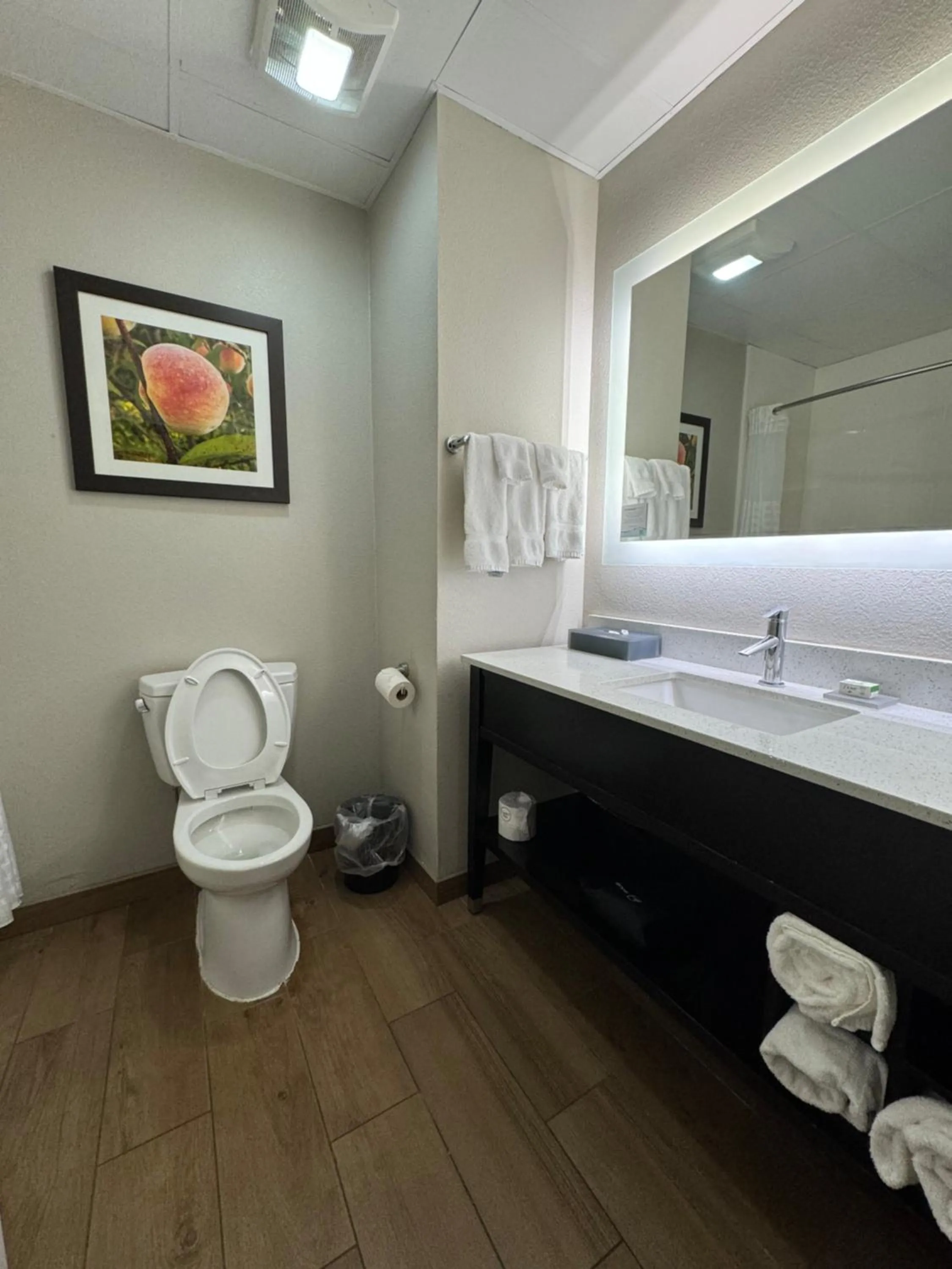 King Studio Suite - Non-Smoking in La Quinta by Wyndham Milledgeville