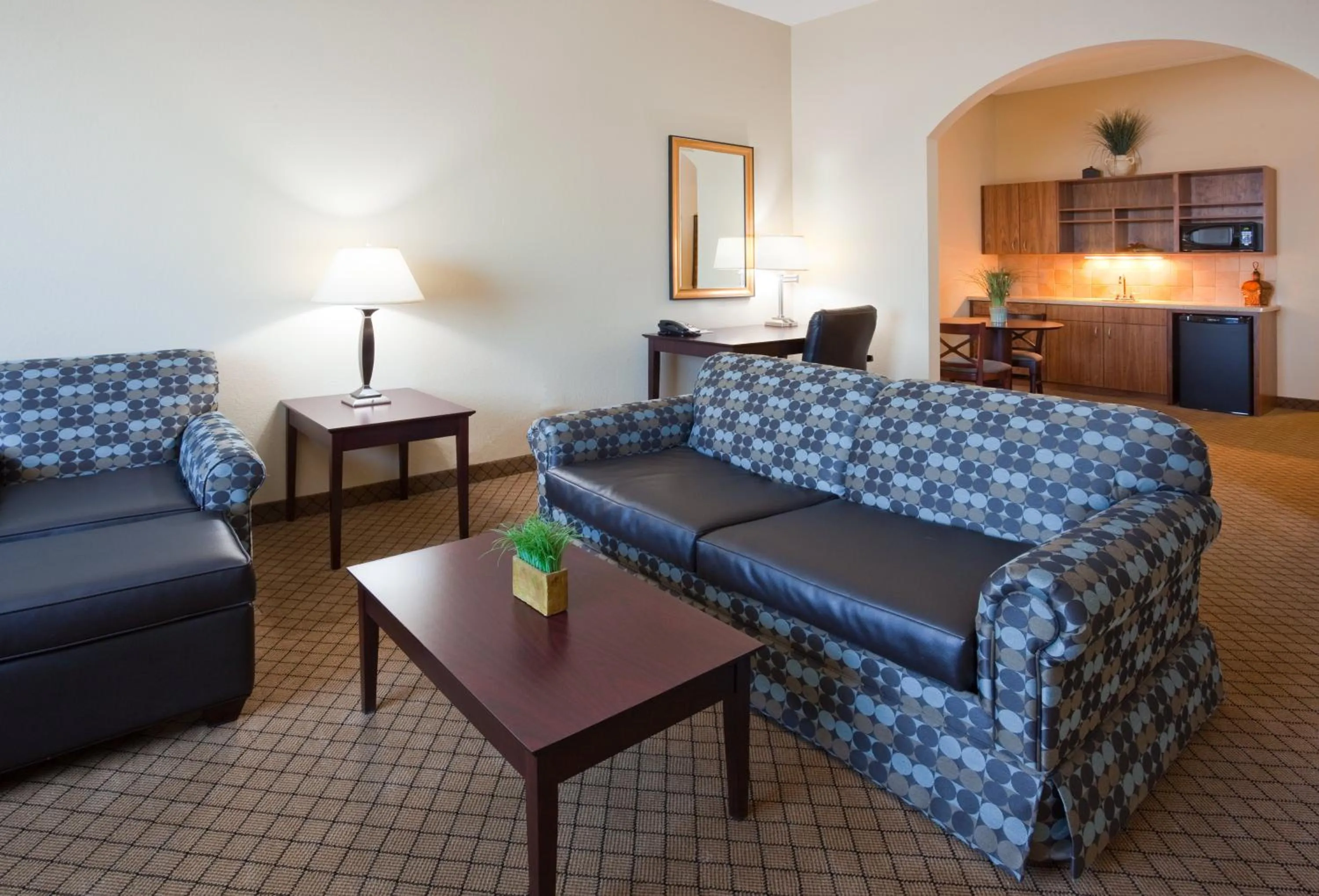 One-Bedroom Suite in Holiday Inn Express Hotel & Suites Mankato East by IHG