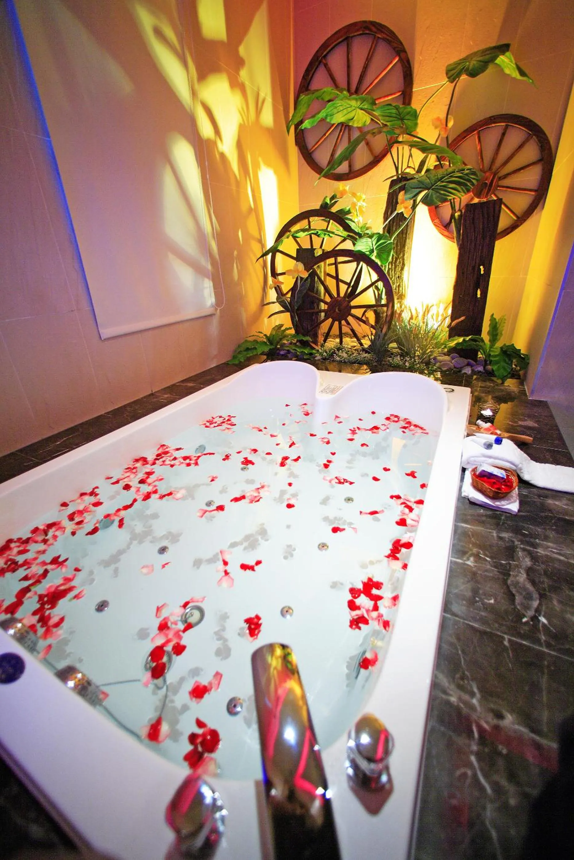 Premier Suite in Blue Coast Spa Motel