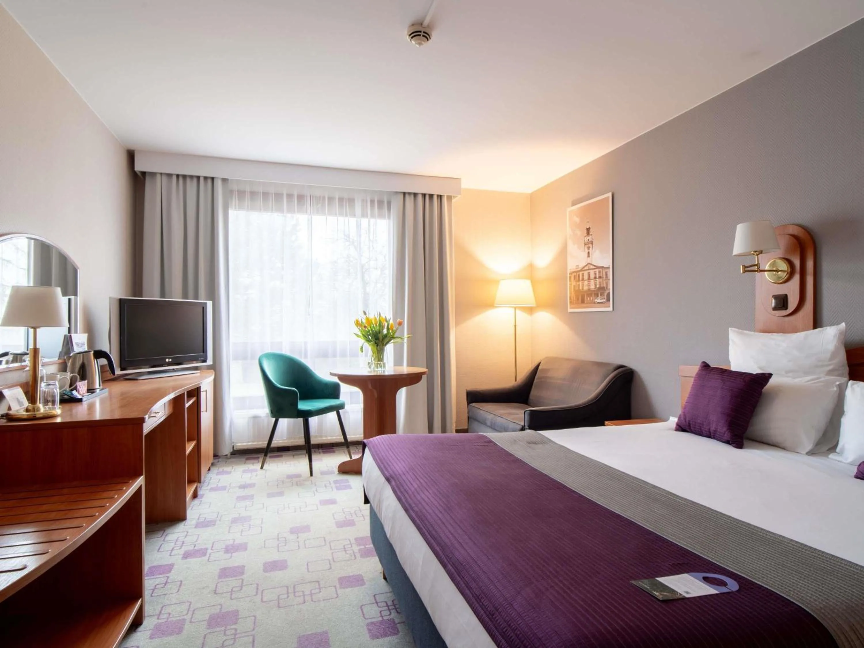 Standard Double Room in Mercure Cieszyn