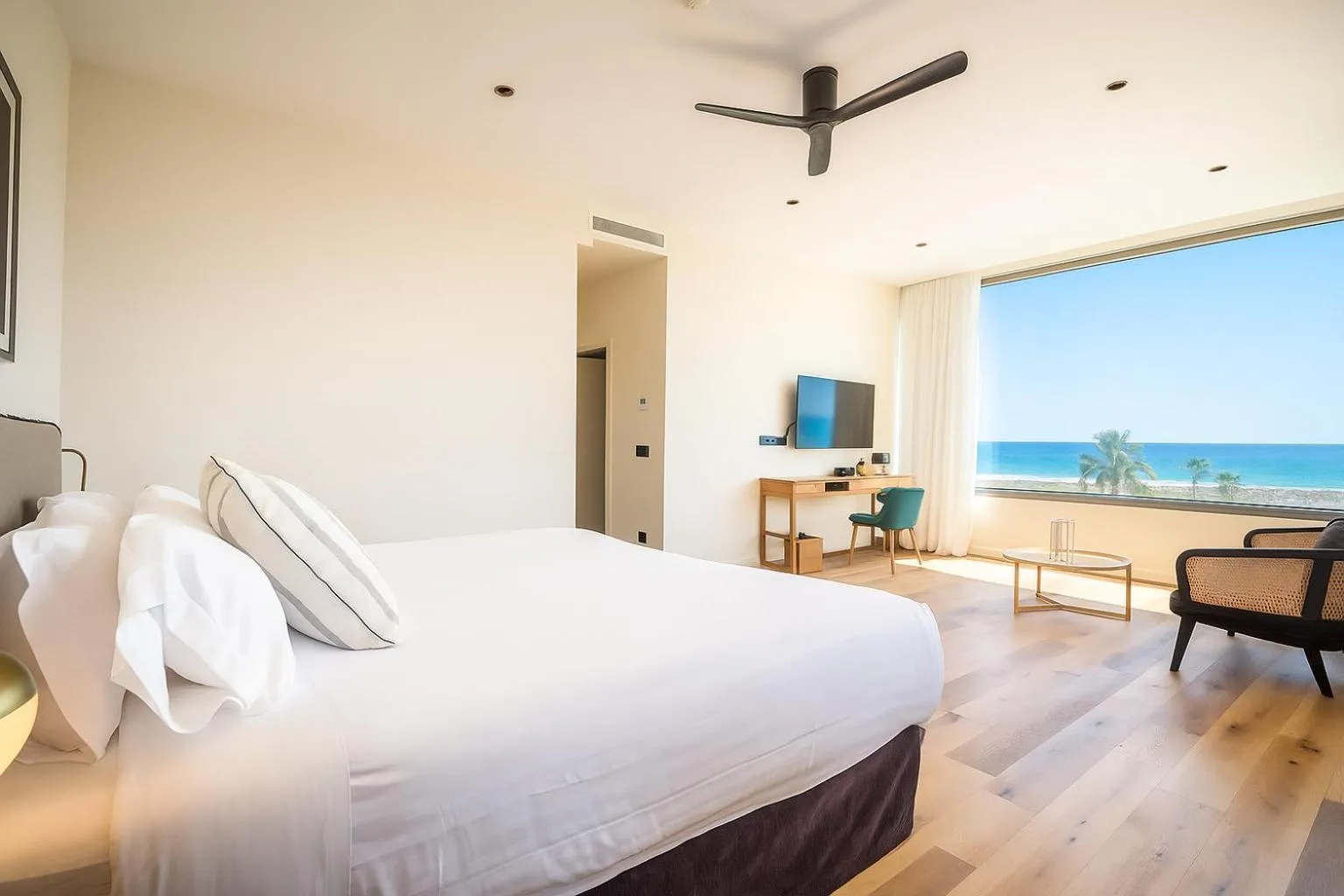 Deluxe Suite in Hotel Barú