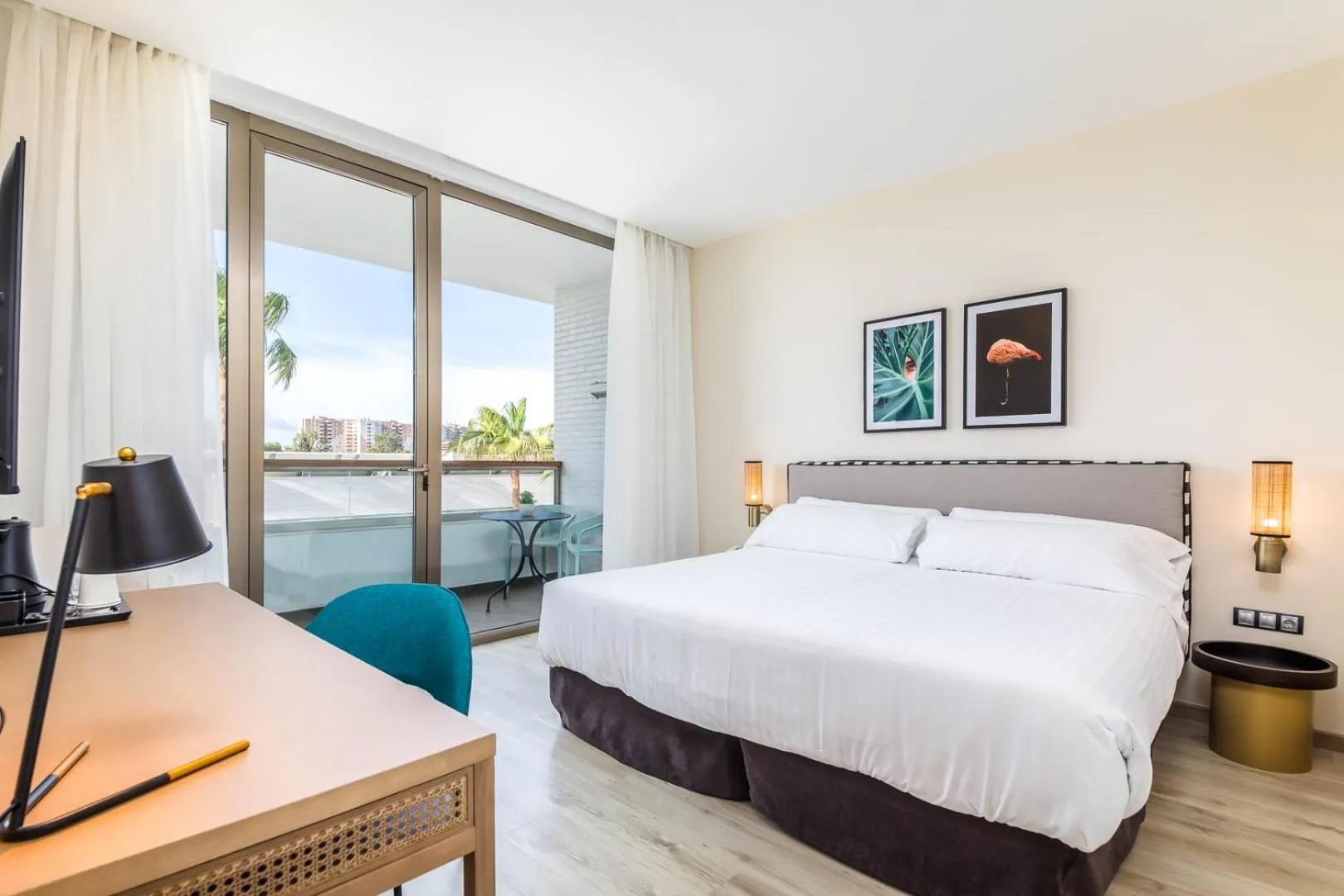 Standard Double Room in Hotel Barú