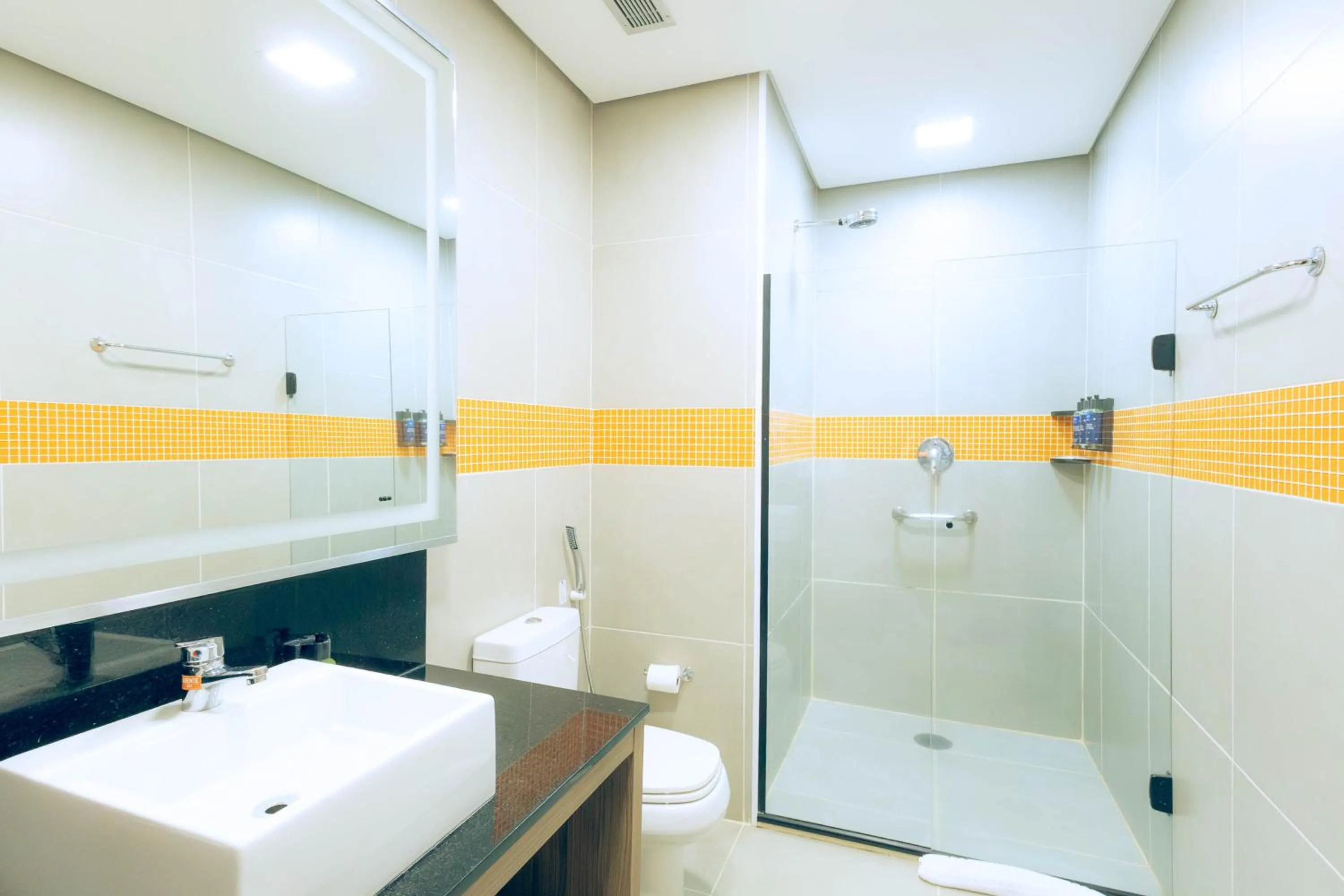 Superior Apartment - single occupancy in TRYP By Wyndham Ribeirão Preto